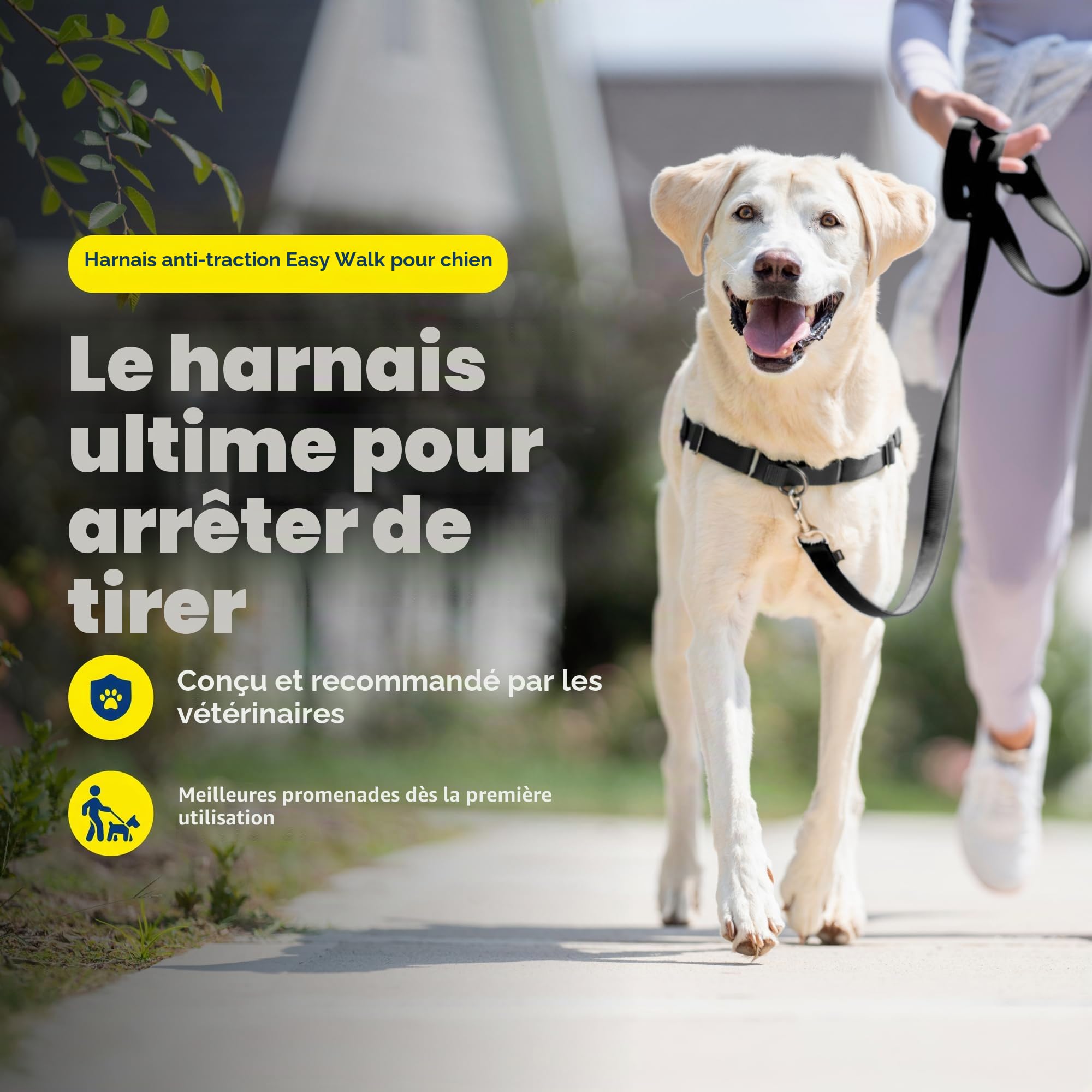 PetSafe Easy Walk Harnais anti-traction pour chien – Le harnais ultime pour aider à arrêter de tirer – Prenez le contrôle et enseignez de meilleures manières de la laisse – Aide à empêcher les animaux