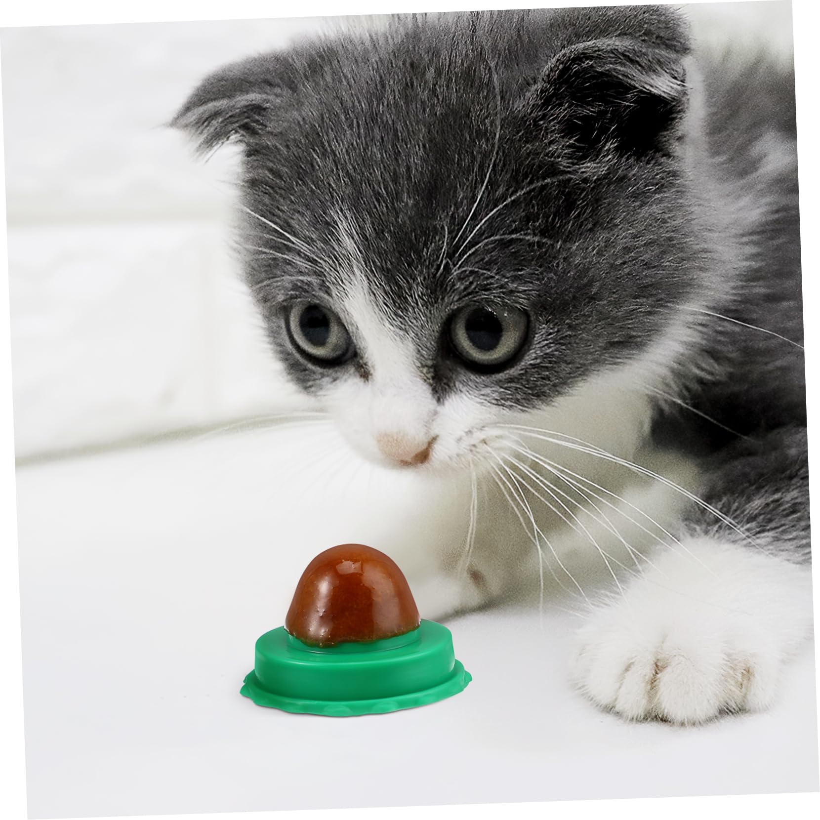 Toddmomy 30piezas Golosinas para Gatos Catnip De Sabor Aleatorio Snacks Nutritivos para Mascotas para Jugar y Masticar