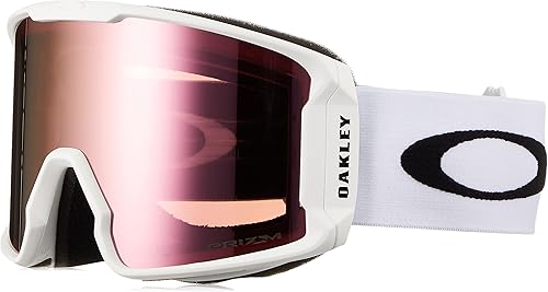 Oakley Gafas de nieve Line Miner L