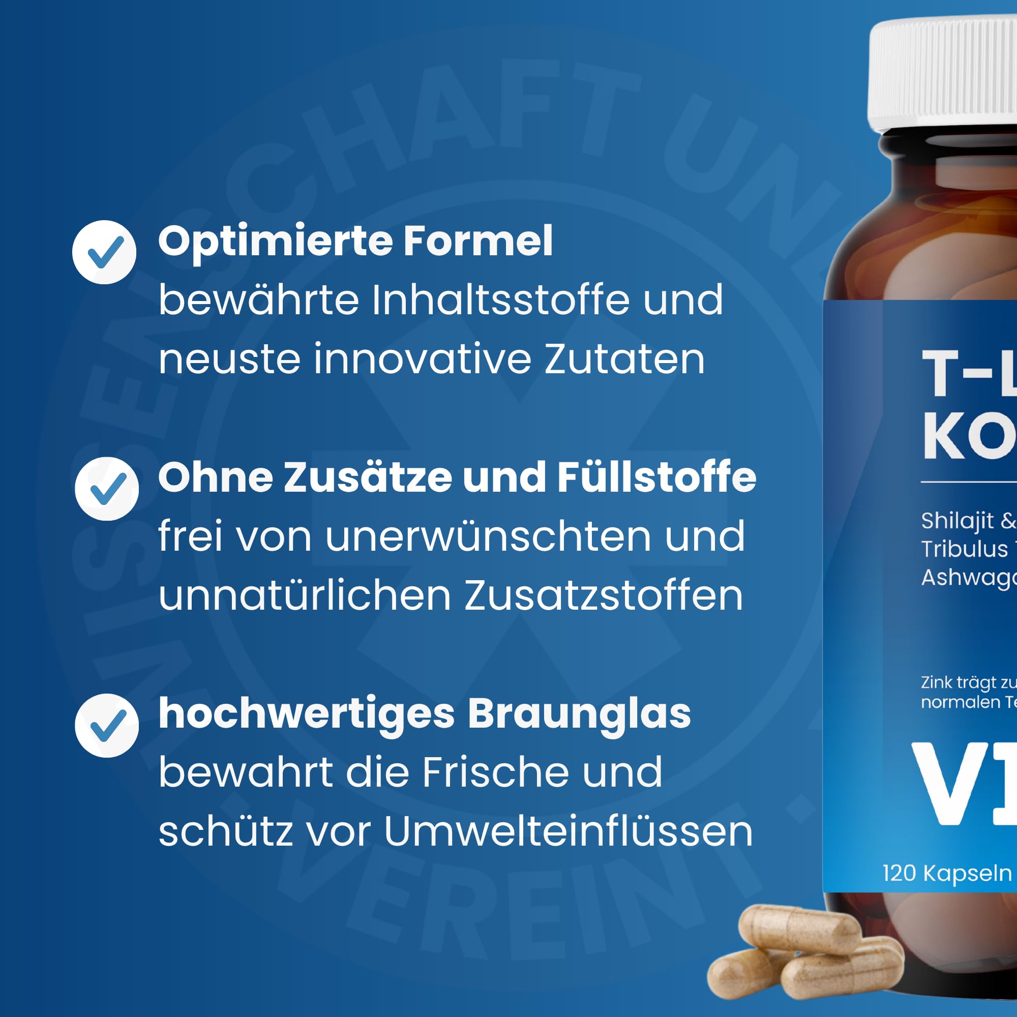 T-Level Testosteron¹ Kapseln mit Shilajit, Ashwagandha KSM-66®, Maca schwarz, Bockshornklee, Tribulus, Cordyceps, Bor, Vitamin D, Aminos - 360 Kapseln für 6 Monate