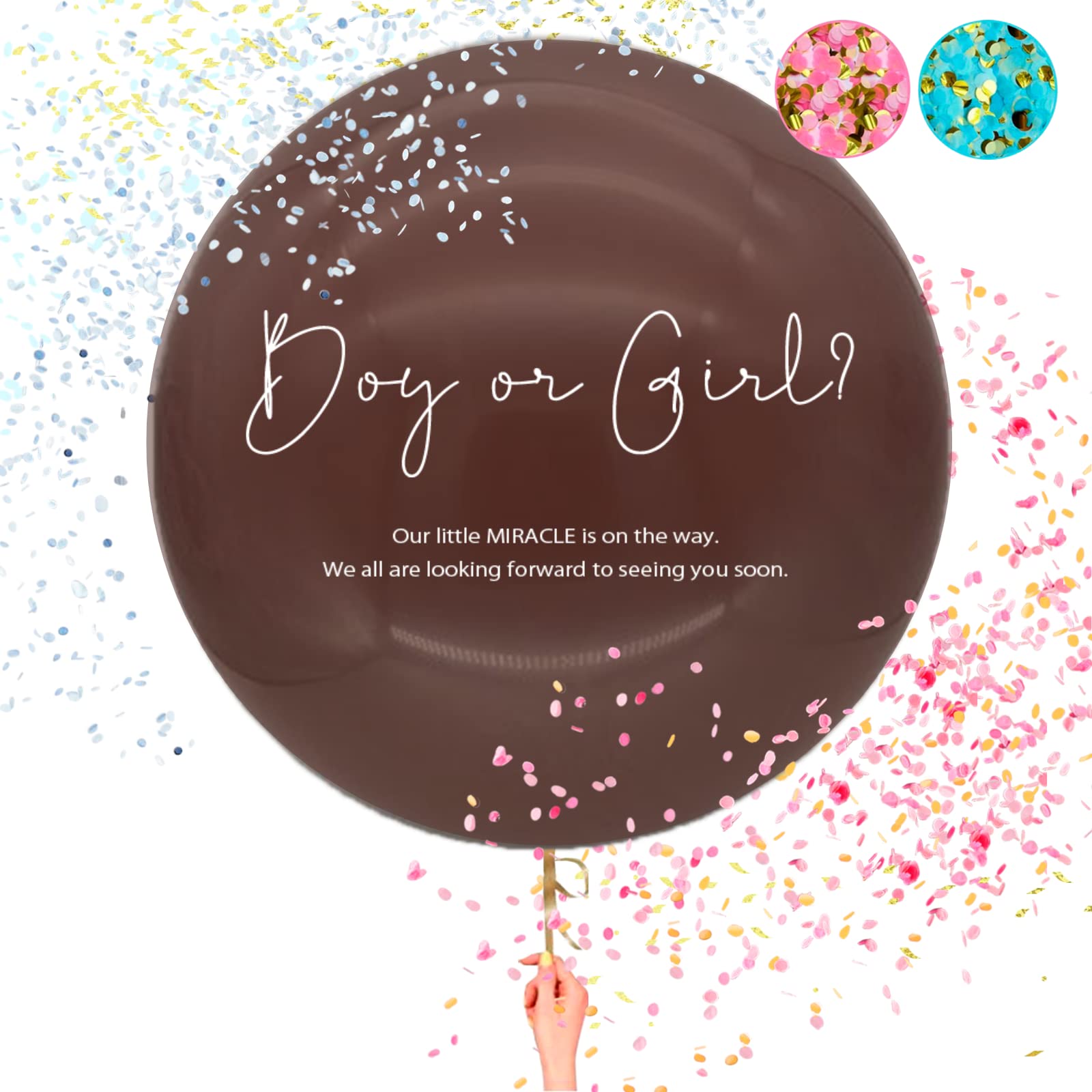 Amazon | aplans ジェンダーリビール ジェンダーリビールバルーン 風船