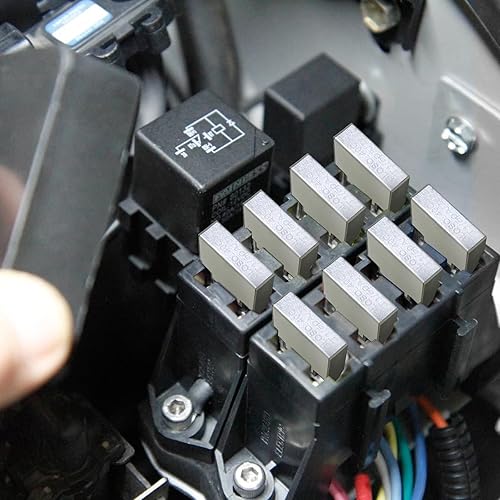 Miniatura 7 de GLOSO Disyuntor Maxi Blade 30A AMP, reinicio automático T1 (30A)