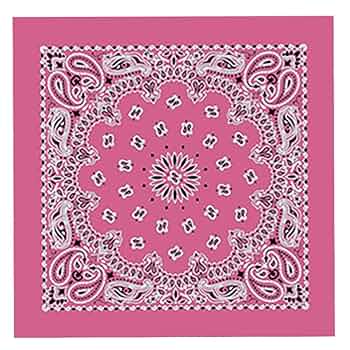 ◆THE NORTH FACE◆ MEN'S BANDANA SLEEVE TITSPALE PINK The North Face Bandana S/S Round T-Shirt - 25SS 