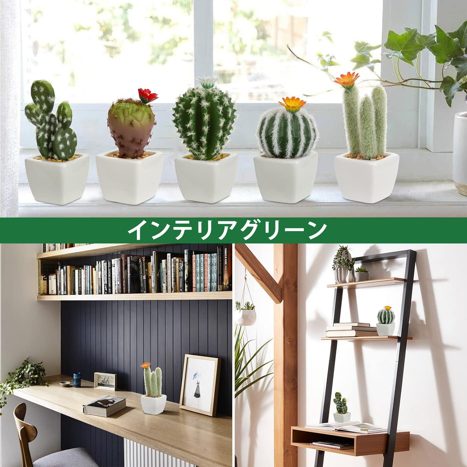 Amazon｜Villa Como フェイクグリーン インテリアグリーン サボテン 