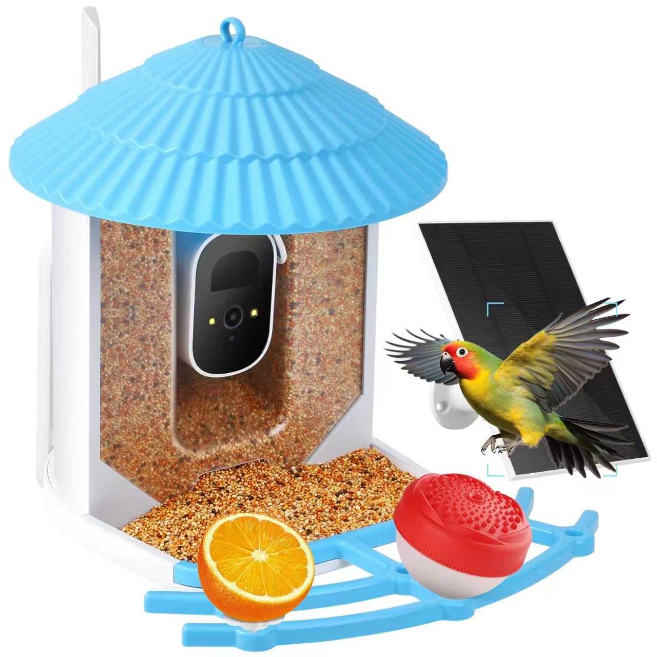 Comedero Para Pájaros DESELL Con Cámara, Alimentadores Inteligentes  Colgantes De Reconocimiento De Pájaros Con Panel Solar, Cámara De Video  Inalámbrica 1536P HD Versión Nocturna Con Tarjeta SD De 64 Comedero Pajaros  Con, image size:1280x1280