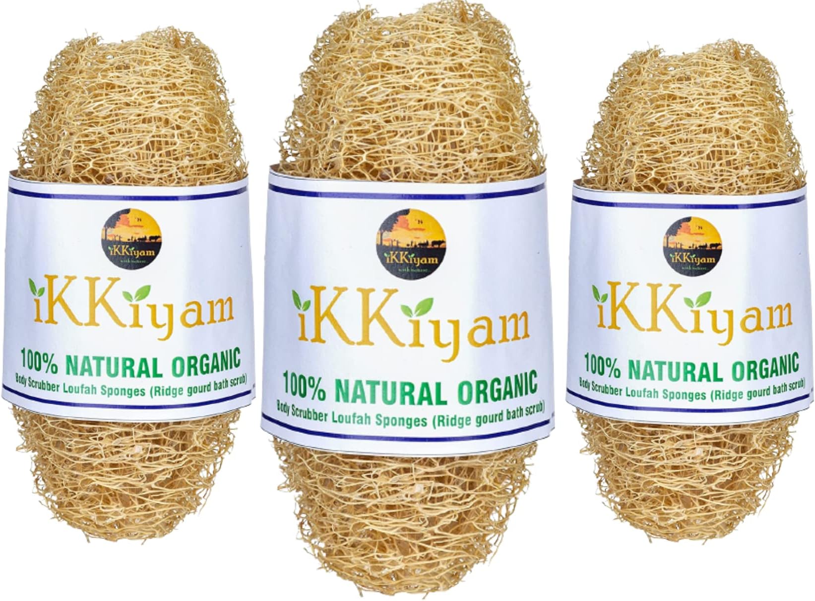 Ikkiyam Loofah Ridge Gourd Bath Scrub (Peerkangai Bath Scrub)| Soft and Gentle Body Scrubber Loofah Sponges | Soothing Body Exfoliater |Biodegradable and Eco-friendly Natural Scrubber | Pack of 3