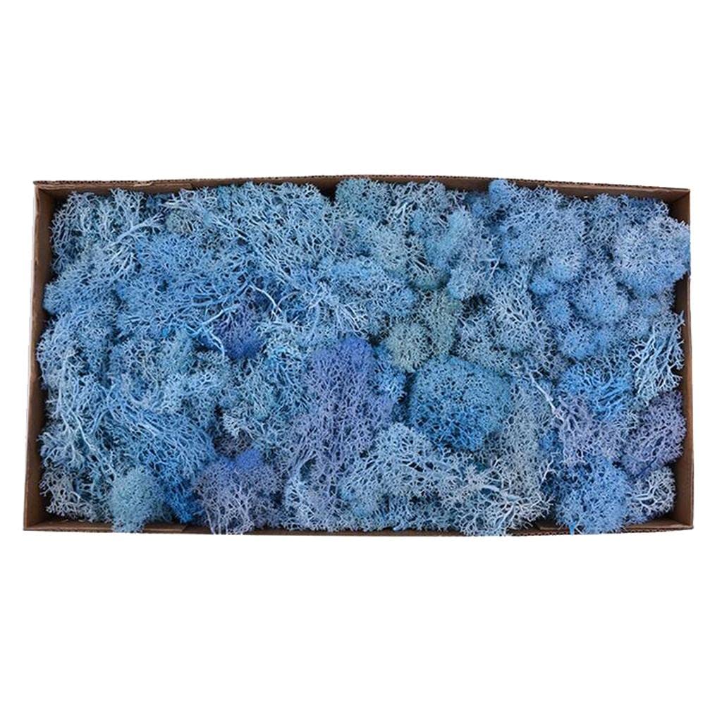 Reindeer Fiore Artificiale Fiore Preservato Fiore Secco Fiore Liner Muschio Naturale Stabilizzato con Adatto per Decorazione Domestica, Blu