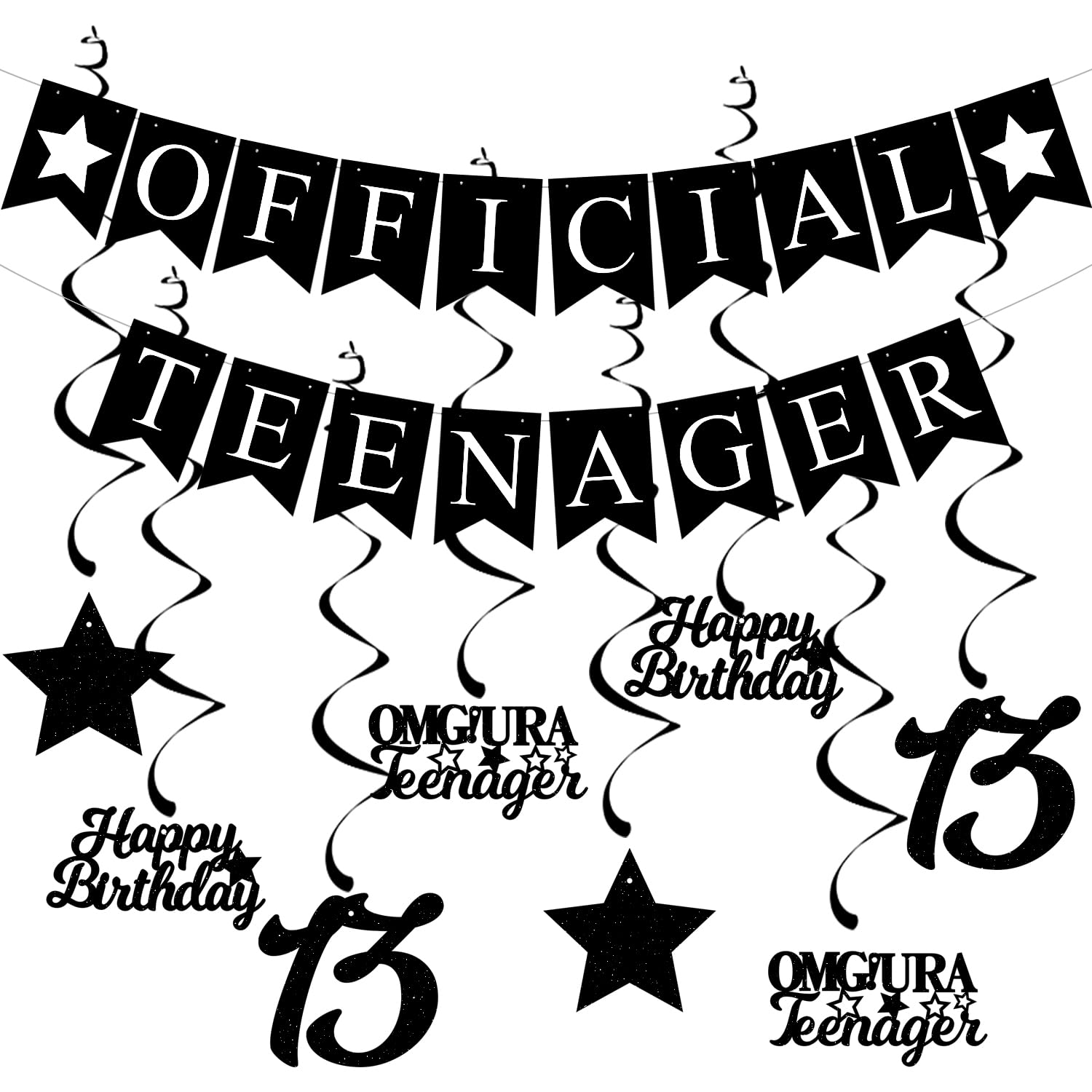 Elicola 13th Birthday Decorations Official Teenager Banner Bunting with 8PCS Black Hanging Swirls Streamers Happy 13th Birthday for Boys Party Decorations