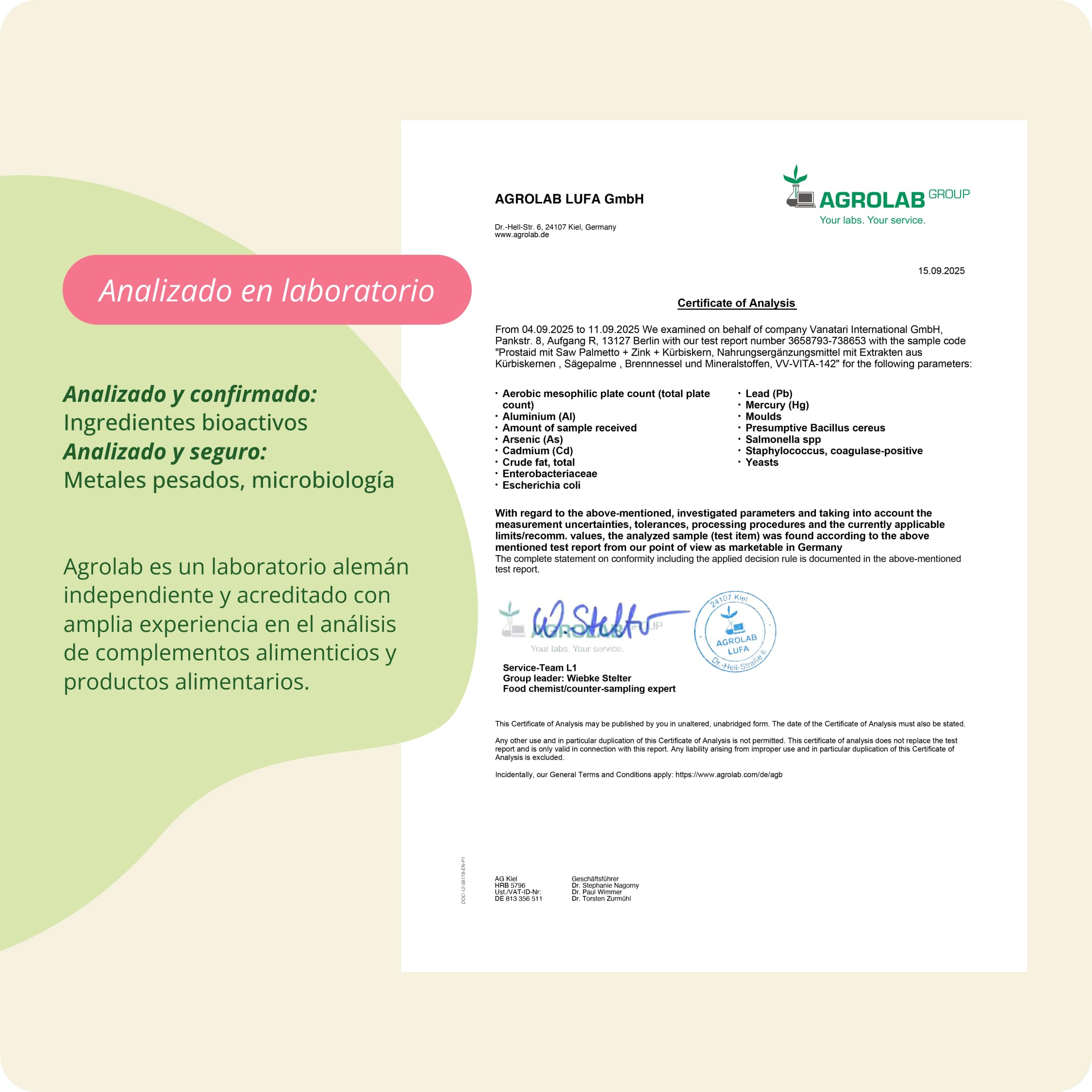 Vegavero Próstata | Saw Palmetto 5600 mg | 180 Cápsulas | Con Extracto de Calabaza, Ortiga Verde, Zinc y Selenio | Salud Vías Urinarias | Vegano y Sin Aditivos