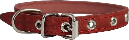 Collar de perro de cuero real rojo 9.5"-13" tamaño del cuello, 12" de ancho Yorkshire Terrier, cachorros