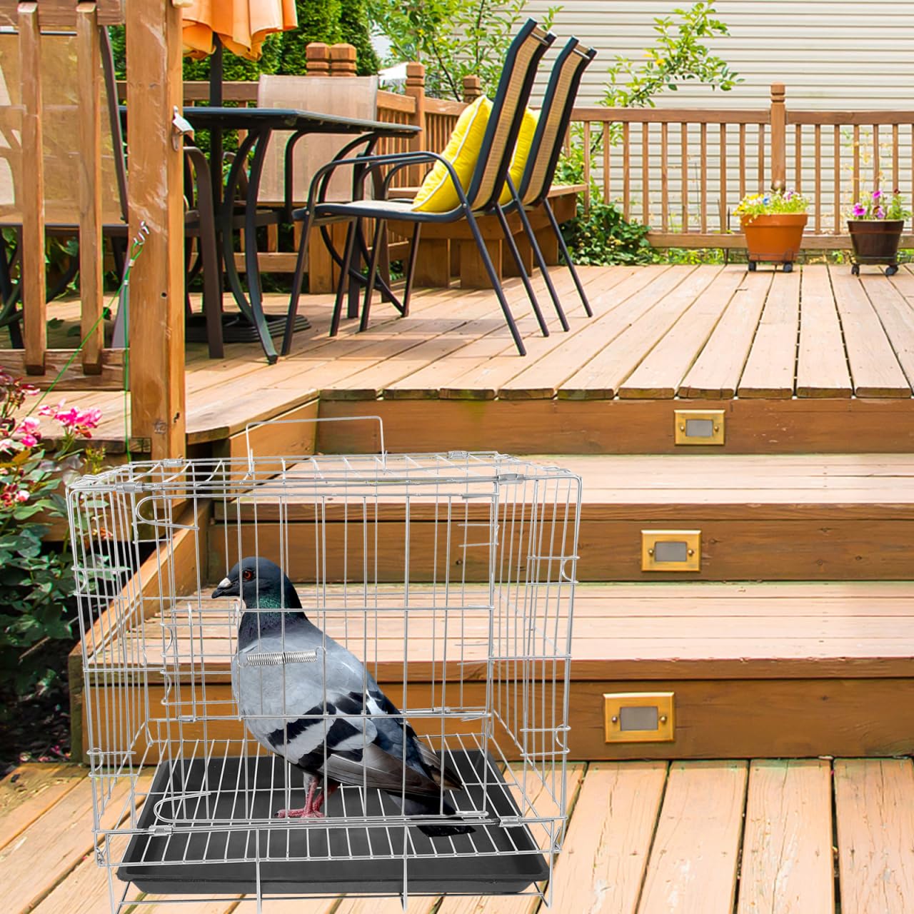 Sosoport Jaula para Pájaros De Gran Capacidad Jaula De Cría para Palomas Y Loros con Bandeja Extraíble Y Seguridad Mejorada De Acero Inoxidable para Uso En Casa