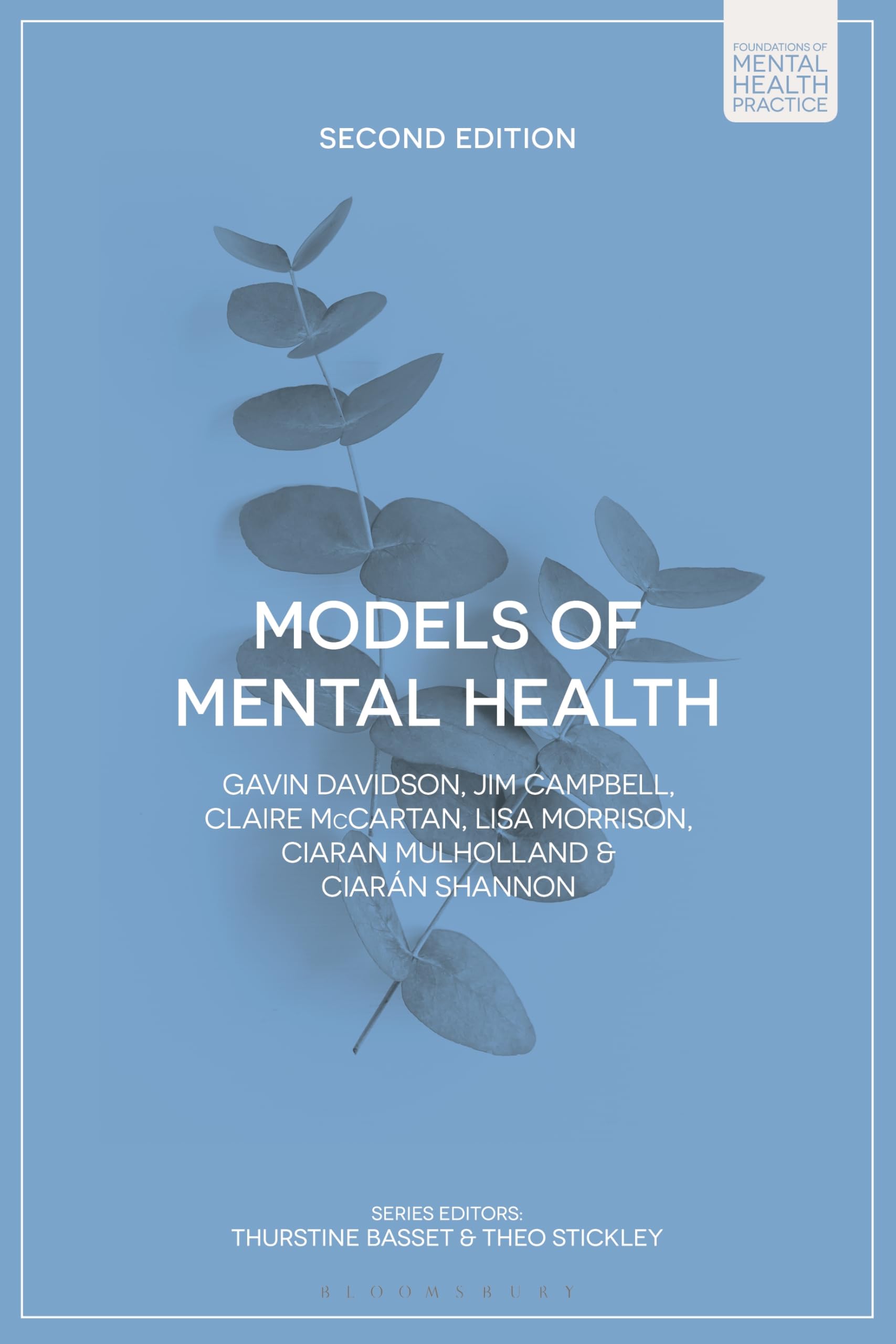 Models of Mental Health (Foundations of Mental Health Practice)