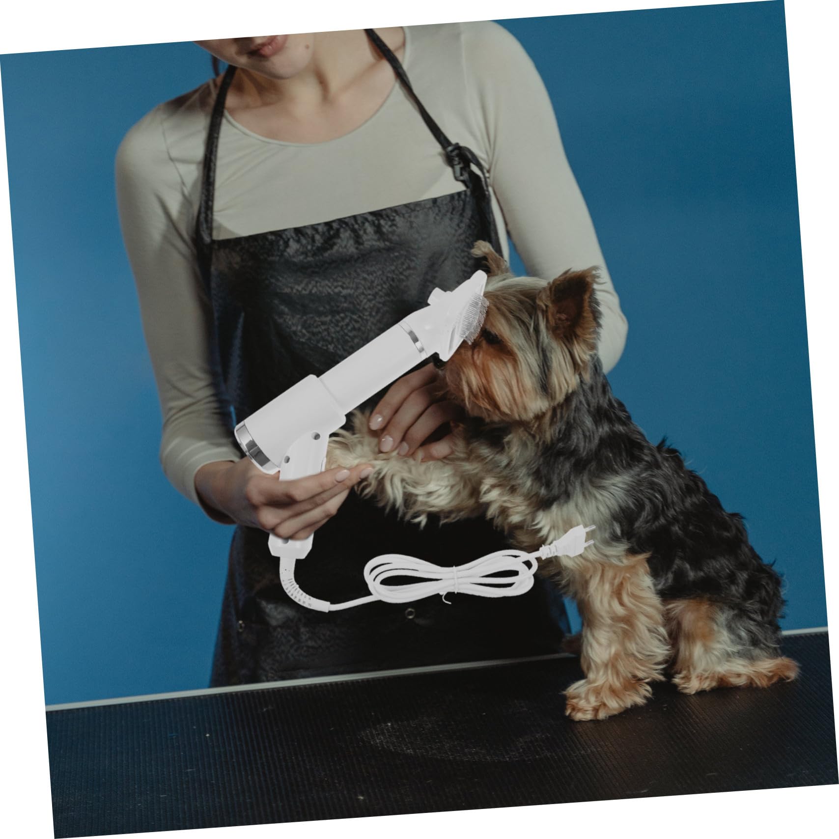 Peigne Sèche-cheveux pour Toilettage Chien et Chat, Blanc Portable | Plastique, Fonction Démêlante et Sûre, Format Compact pour Propriétaires D’animaux