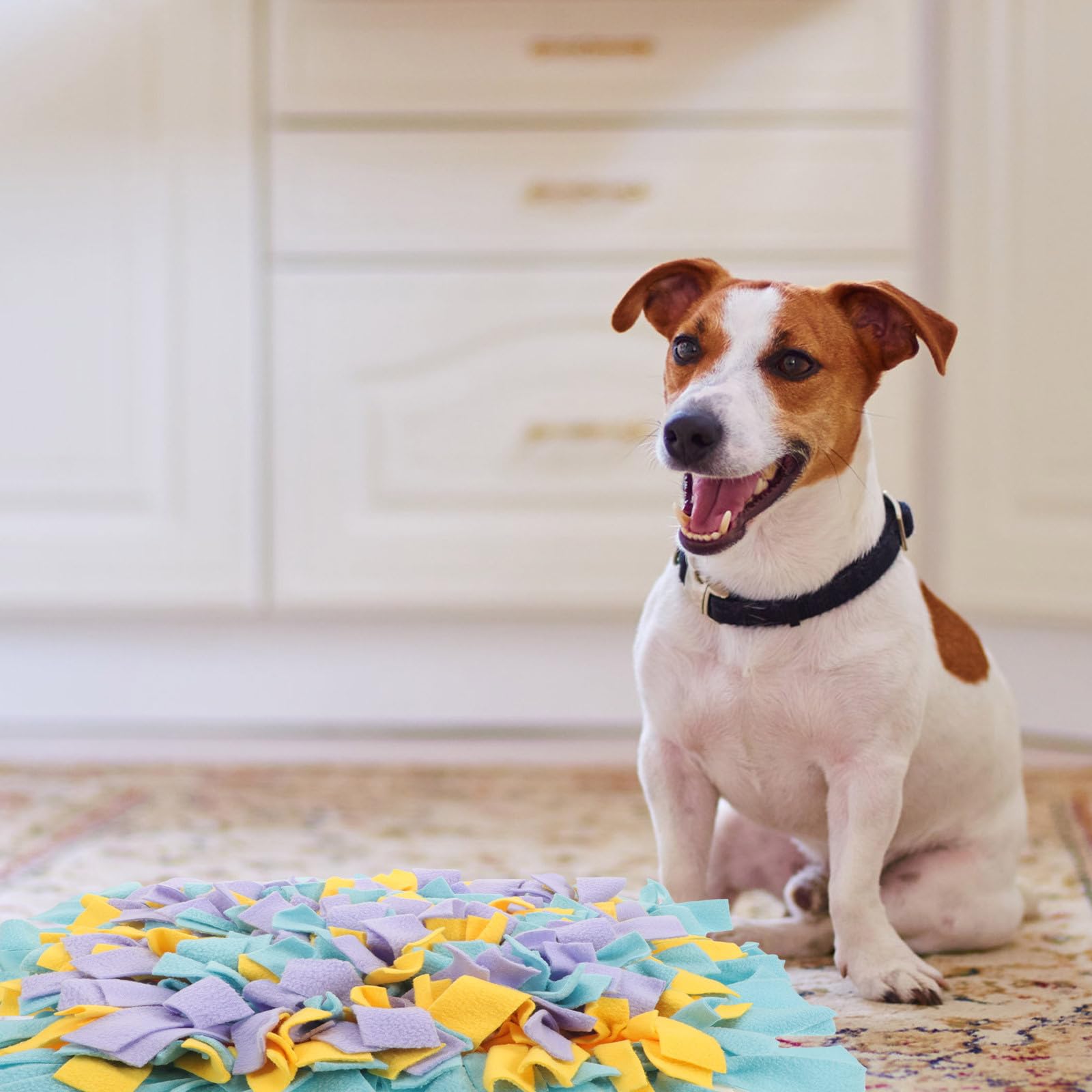 Tappetino Facile Cani Olfattivo Gatti e Resistente in Morsi Pile Polare da Pulire per Addestramento Indoor e Giochi Interattivi