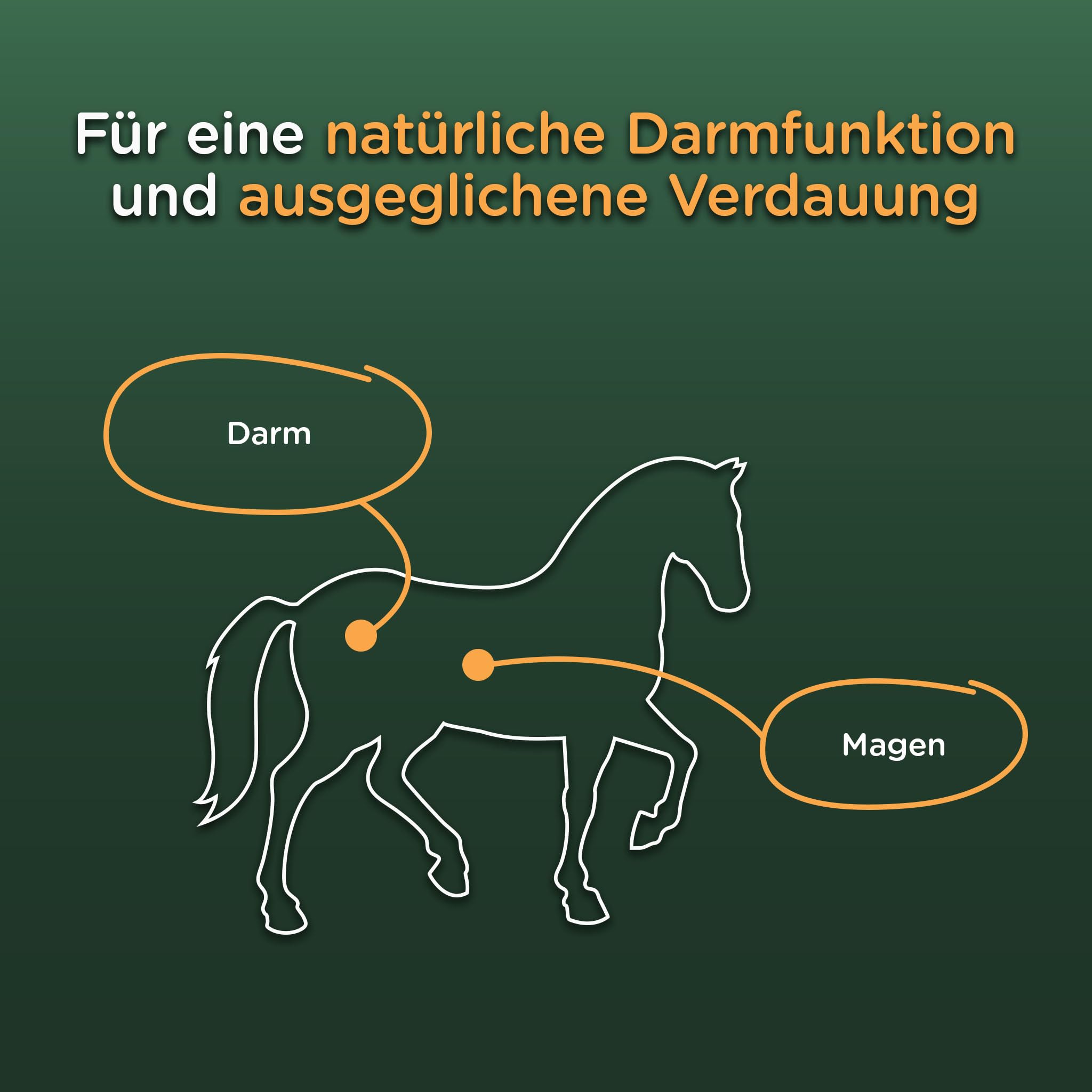 winnies® Kotwasser Stop Pellets-Plus für Pferde – Unterstützt Darmfunktion & Verdauung mit spezieller Kräutermischung, Bierhefe (Biolex® MB40) & Flohsamenschalen – getreidefrei – 1,5 kg
