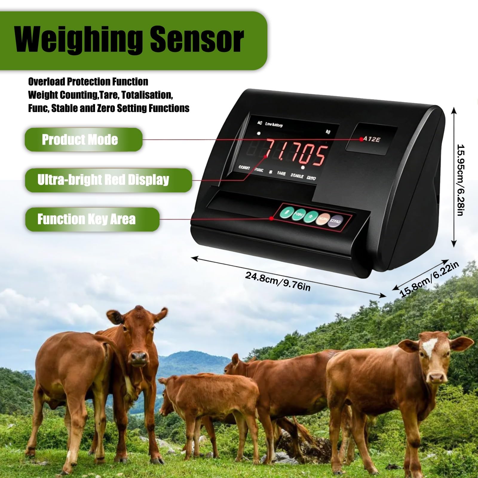 Kit Bilancia per Bestiame Elettronica,Bilancia per Scivolo per Bovini,Kit Bilancia per Animali,Bilancia Da Pavimento,Display a LED,Con 4 Celle Di Carico E Scatola Di Giunzione(2000kg)