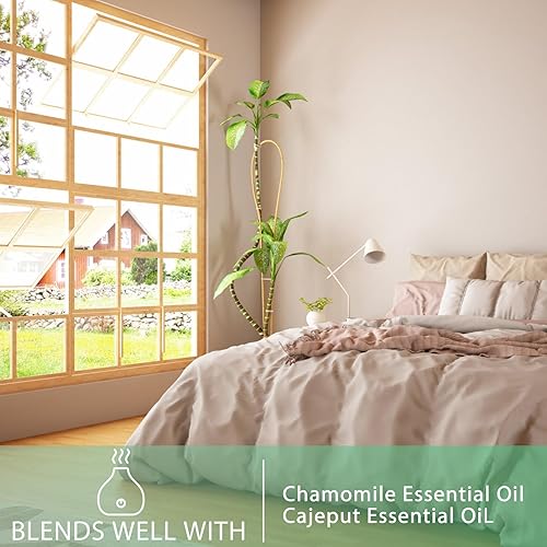 Vista 426 de PHATOIL Aceite esencial de sándalo de 3.3 fl oz, aceites esenciales puros de aromaterapia para difusor, humidificador, relajación, aceites