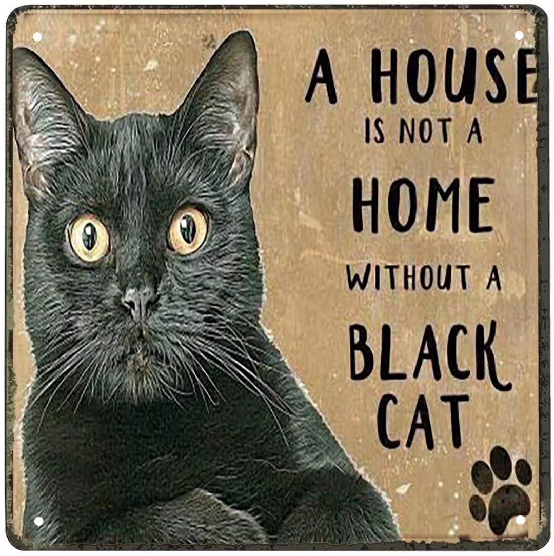 Curteny Black Vintage Wall Poster Metal Plaque House Is Not A Home Without A Cat Tin Sign Cafe Home Farm Supermarket Bar Pub Garage Hotel Diner Mall Garden Door Wall Decor Art 12X12 Inch