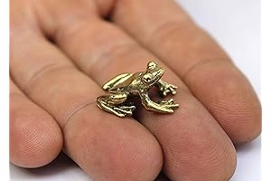 Brass Feng Shui Frog Figurine: The Perfect Touch for a Home Decor