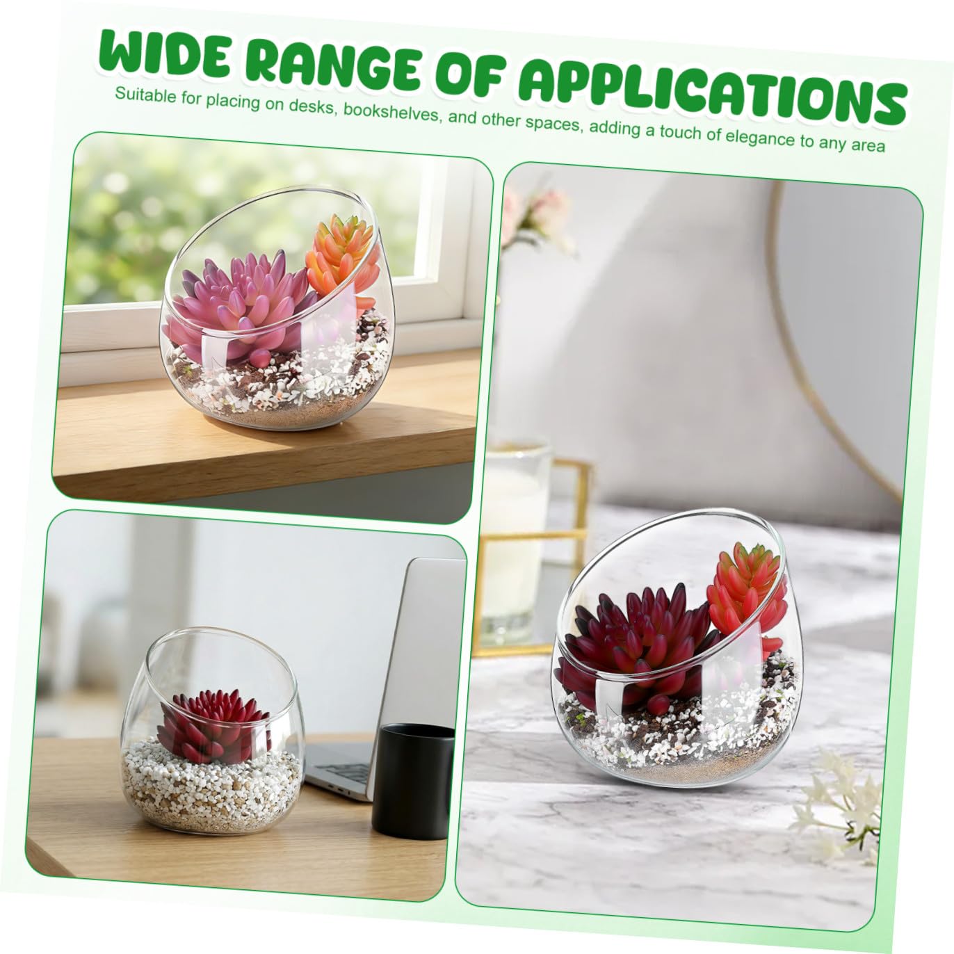 Terrario de Vidrio con Boca Inclinada para Plantas y Musgo, Maceta Decorativa Versátil y Elegante para Interiores y Centros de Mesa