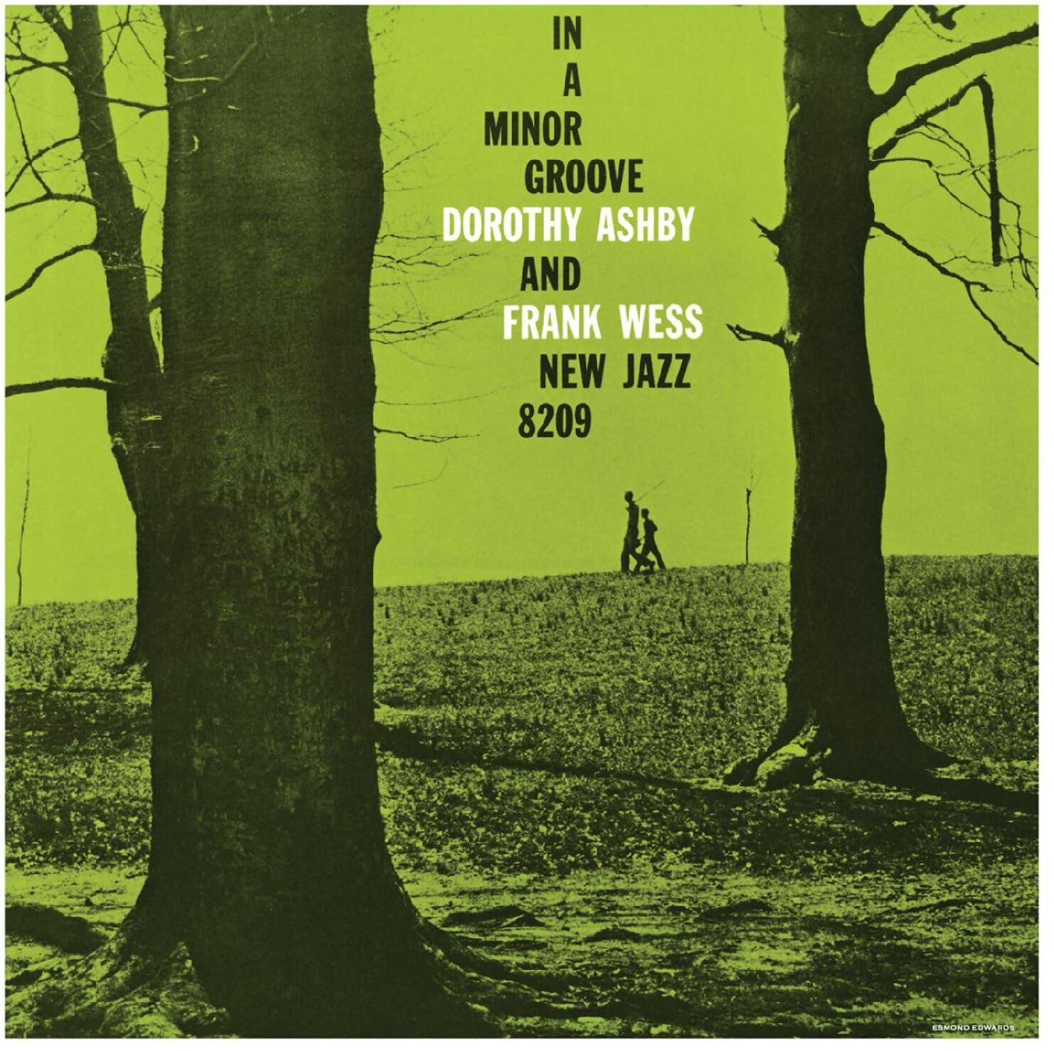 In A Minor Groove [VINYL]