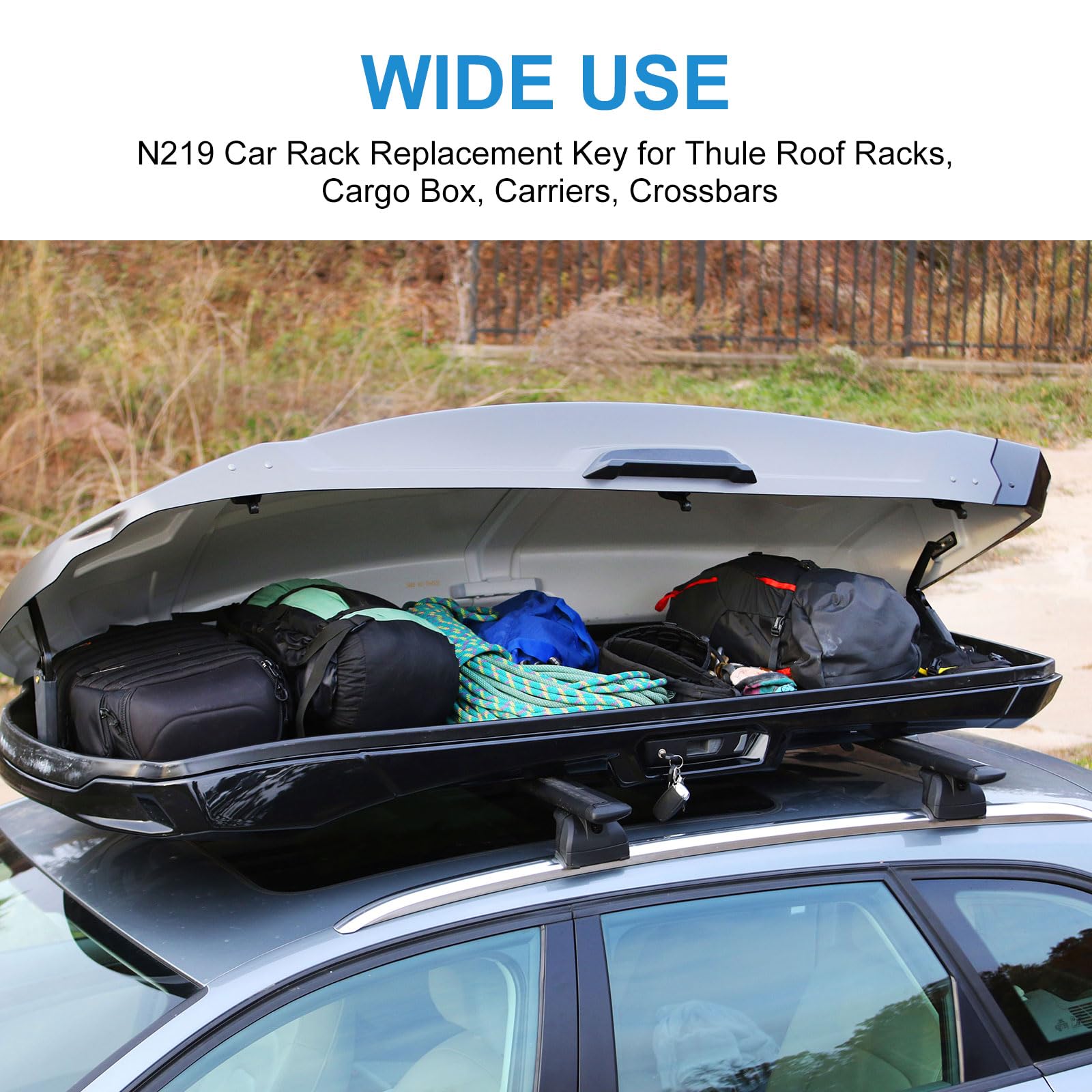 Thule Clamshell Car Top Carrier Thule Control Key 2-Pack N219