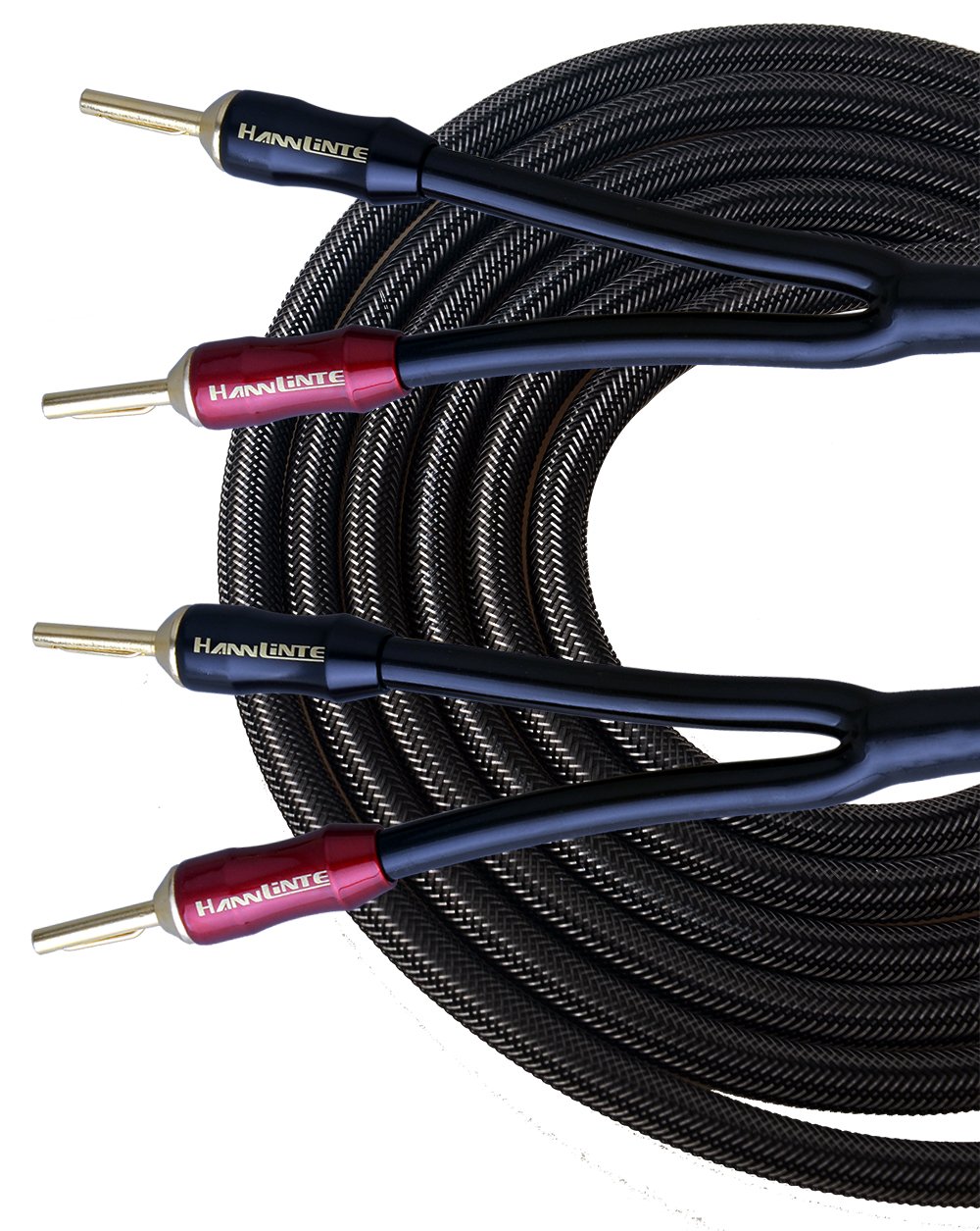 Speaker Wire- Speaker Cable (10.0FTx2) with Gold Plated Pin Plugs -12AWG (OFC), Pair (2 Cables), Transparent Black
