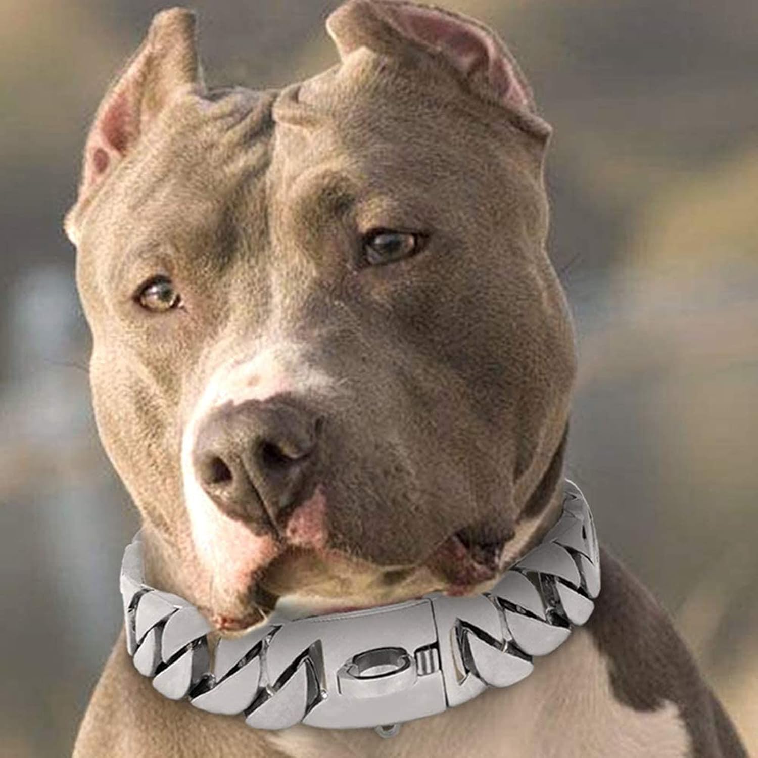 Dog Collar, Heavy Duty 32Mm Wide Choke Dog Chains with Safety Lock, The Stainless Steel Slip Ring Prevents The Dog From Breaking Out Suddenly, for Large Medium Pitbull Bulldog Dogs,Silver,60cm