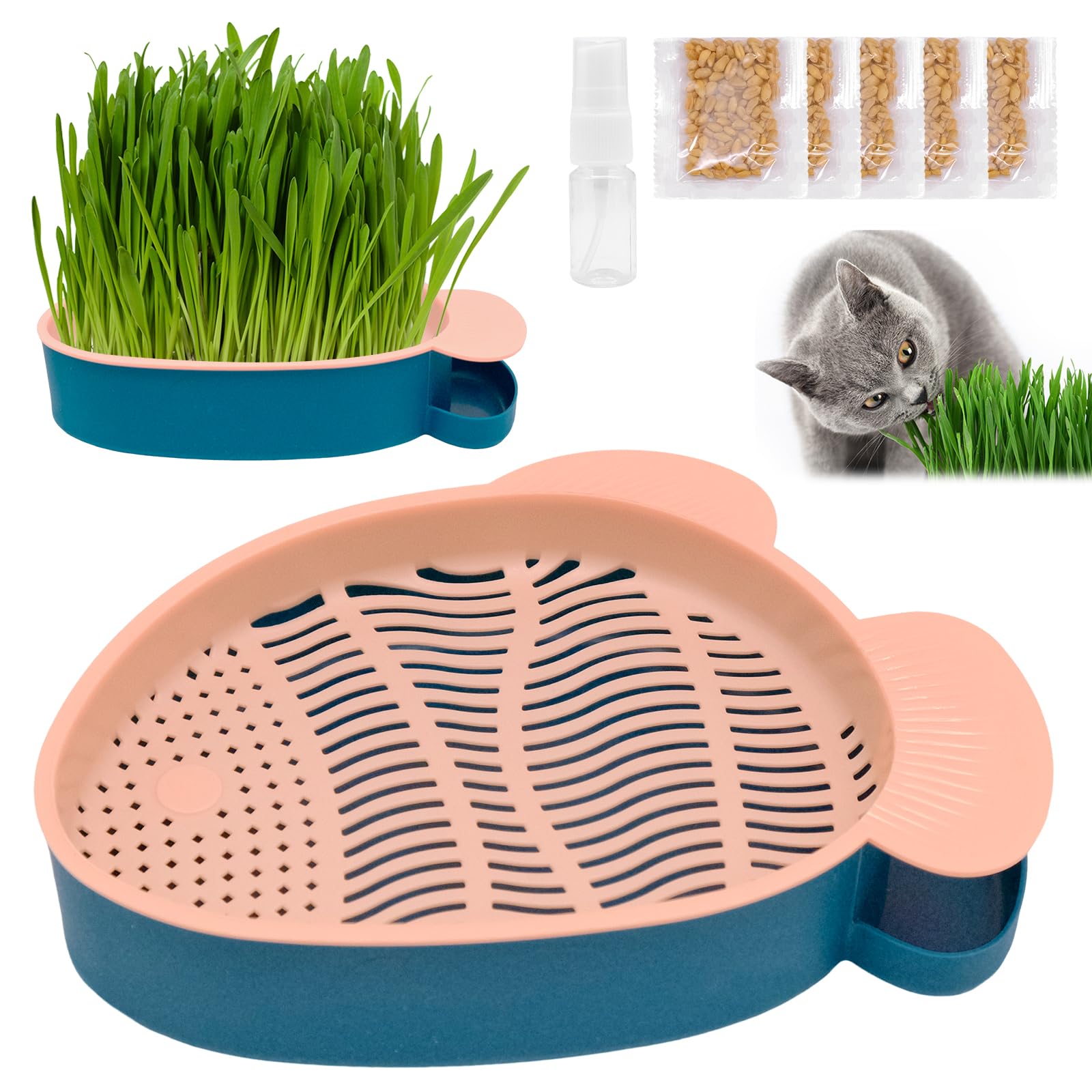 Mikikit Lot de 2 bacs de germination pour gazon à chat, bac de culture