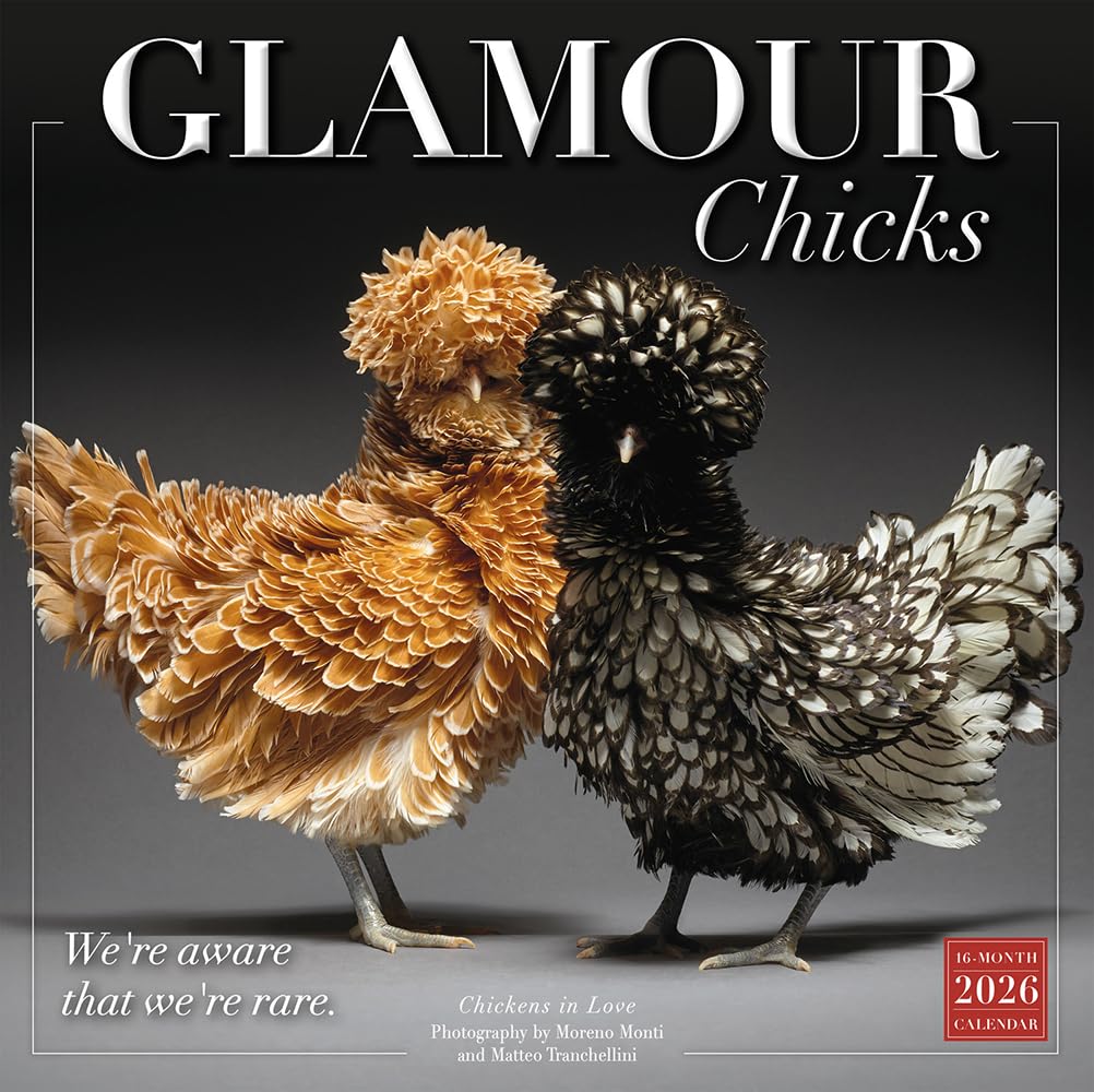 Glamour Chicks 2026 Wall Calendar, 12-Month Funny Chicken & Animal Photography Calendar, 12" x 12", Monthly Planner with Large Grids for Home or