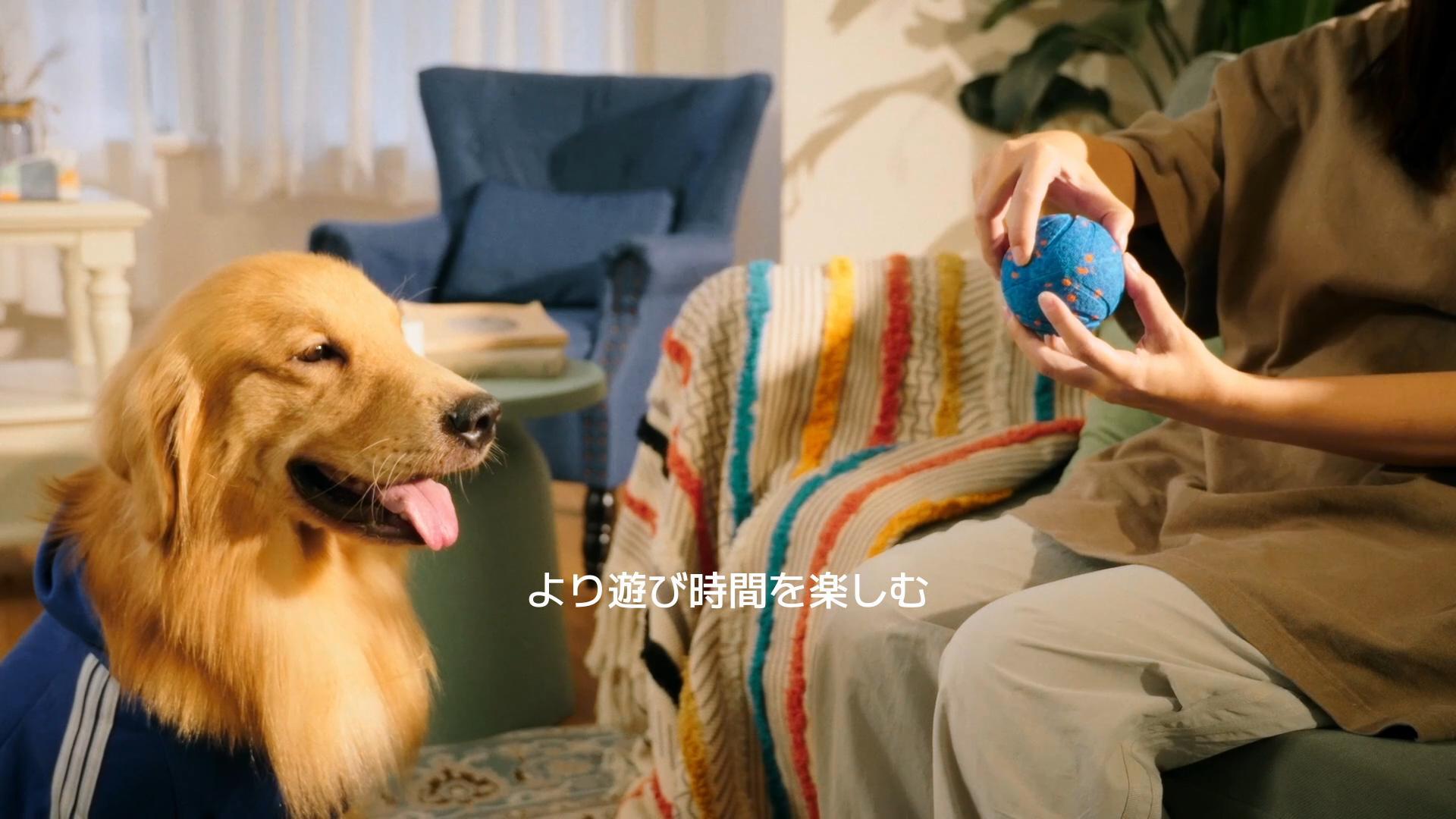 Amazon | Hoochii × Cheerble 犬用自動ボール【2025新登場】3モード