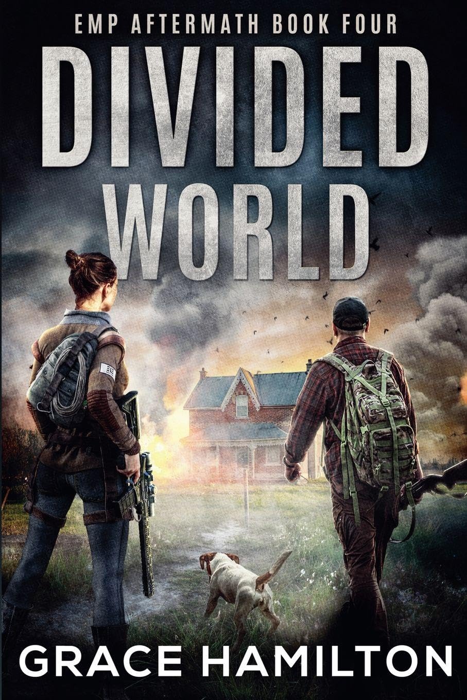 Divided World: 4 (Emp Aftermath)