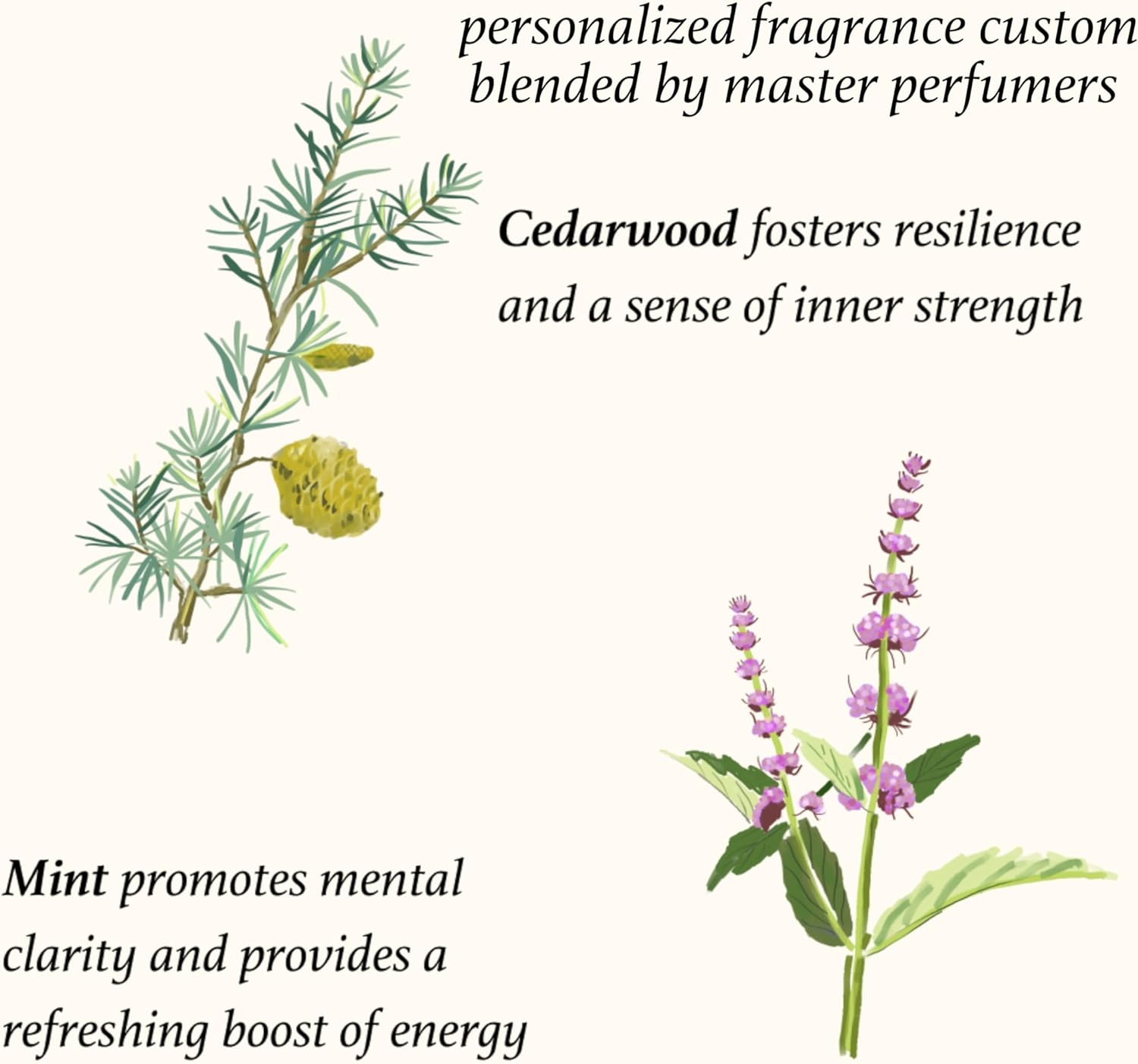 710ZD 1bToL. AC SL1500