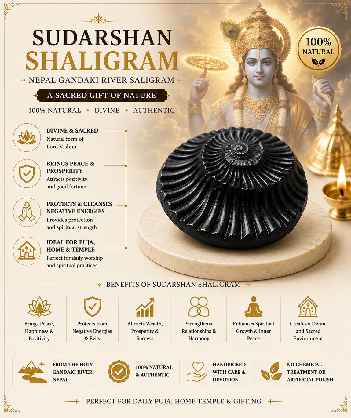 Authentic Nepal Shaligram Stone - Vishnu Symbol -2 Authentic Nepal Shaligram Stone - Vishnu Symbol -2