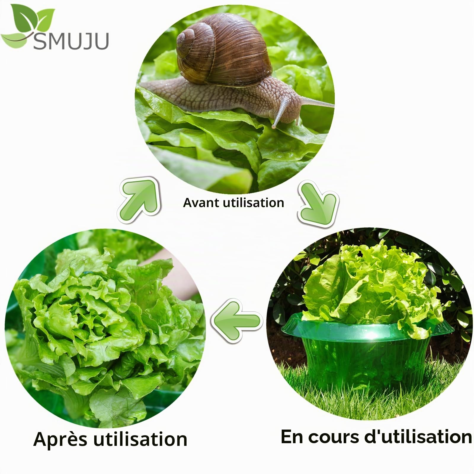 【12 Pièces】Protection Anti-escargots, Protections Anti-limaces, Protection Contre les Escargots, pour vos Plants de Salades et Choux - Protège Les Plantes Contre Les Animaux, Ø 24 cm (12 Pièces)