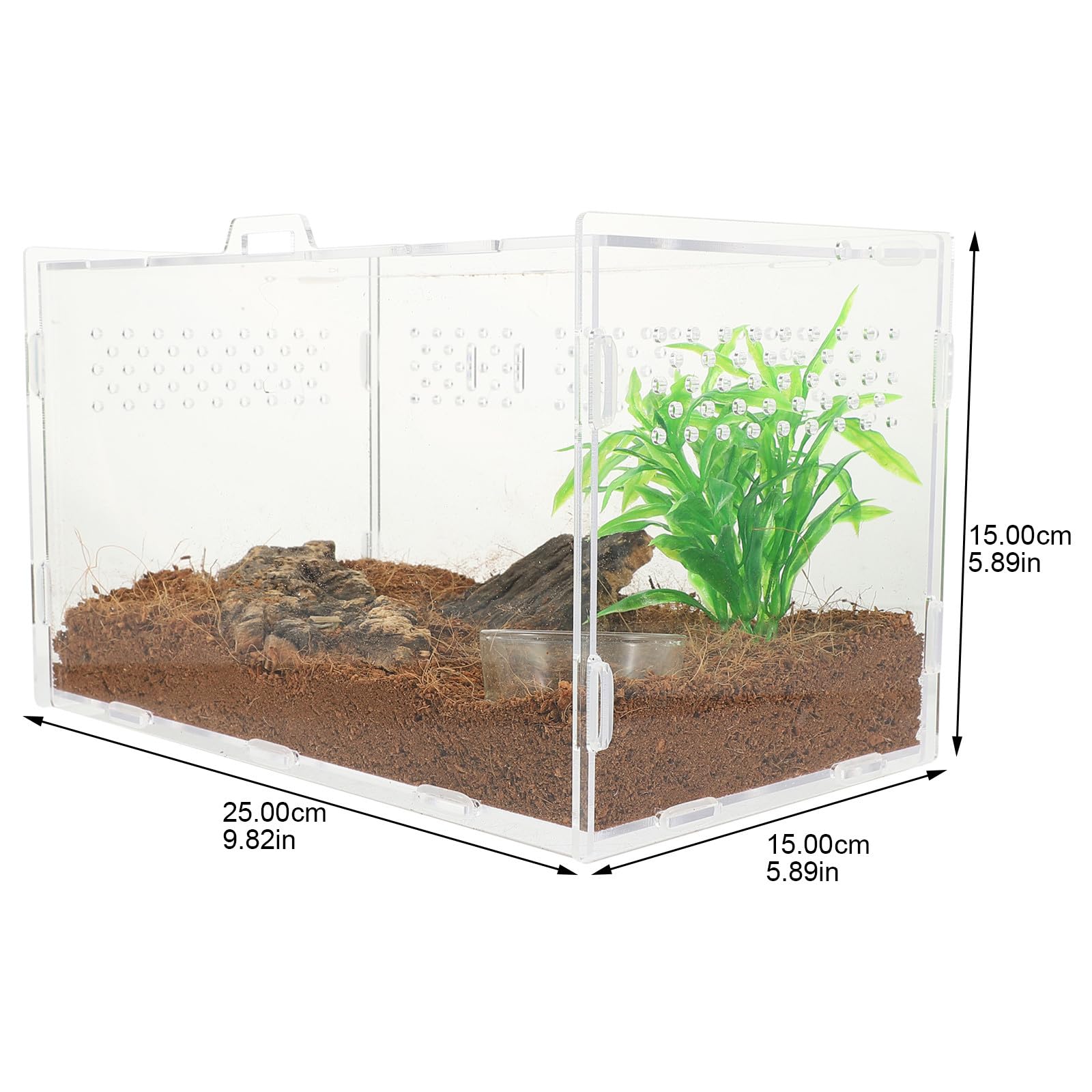 Terrario Acrilico Trasparente per Rettili e Aracnidi Ventilazione, Vasca da 25x15x15 Cm per Lucertole, Ragni, Scorpioni e Piccoli Animali Esotici