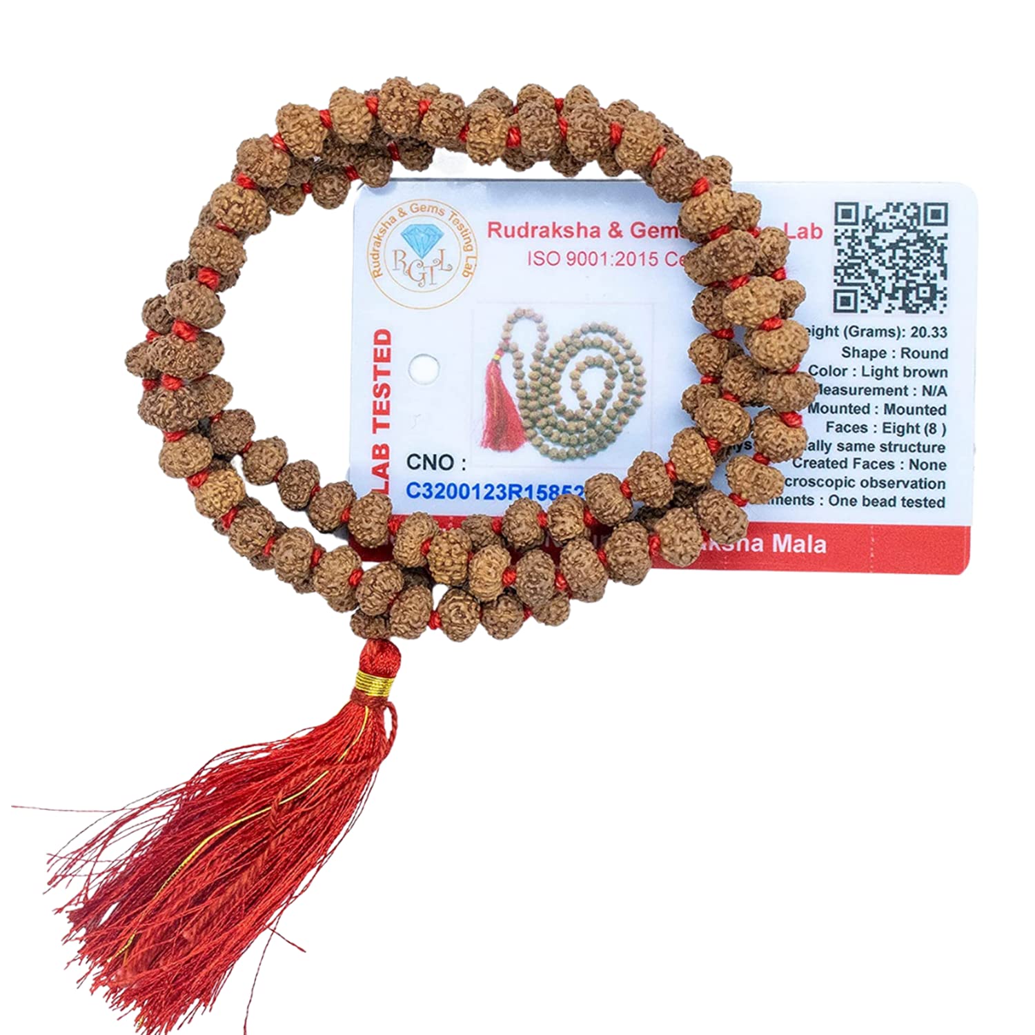 6 Mukhi Rudraksha Mala - Lab Certified -8