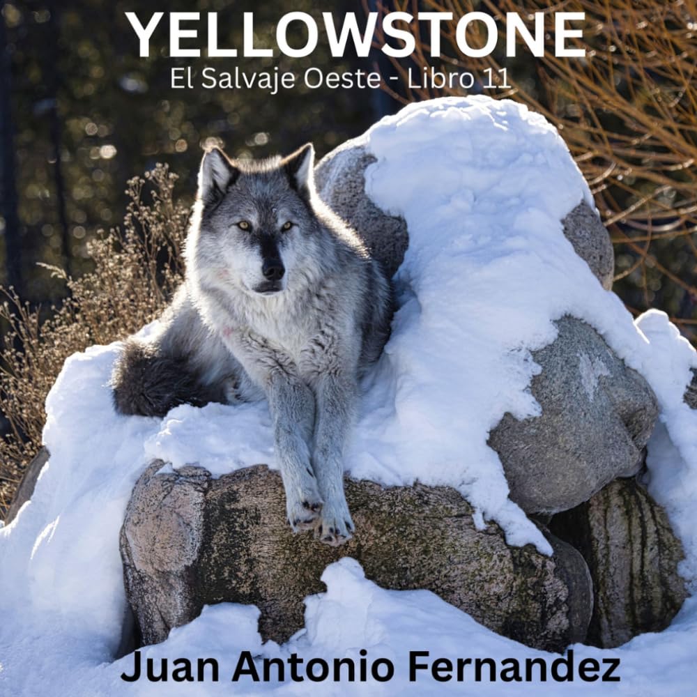 YELLOWSTONE: El Salvaje Oeste (EL ARTE DE MIRAR)