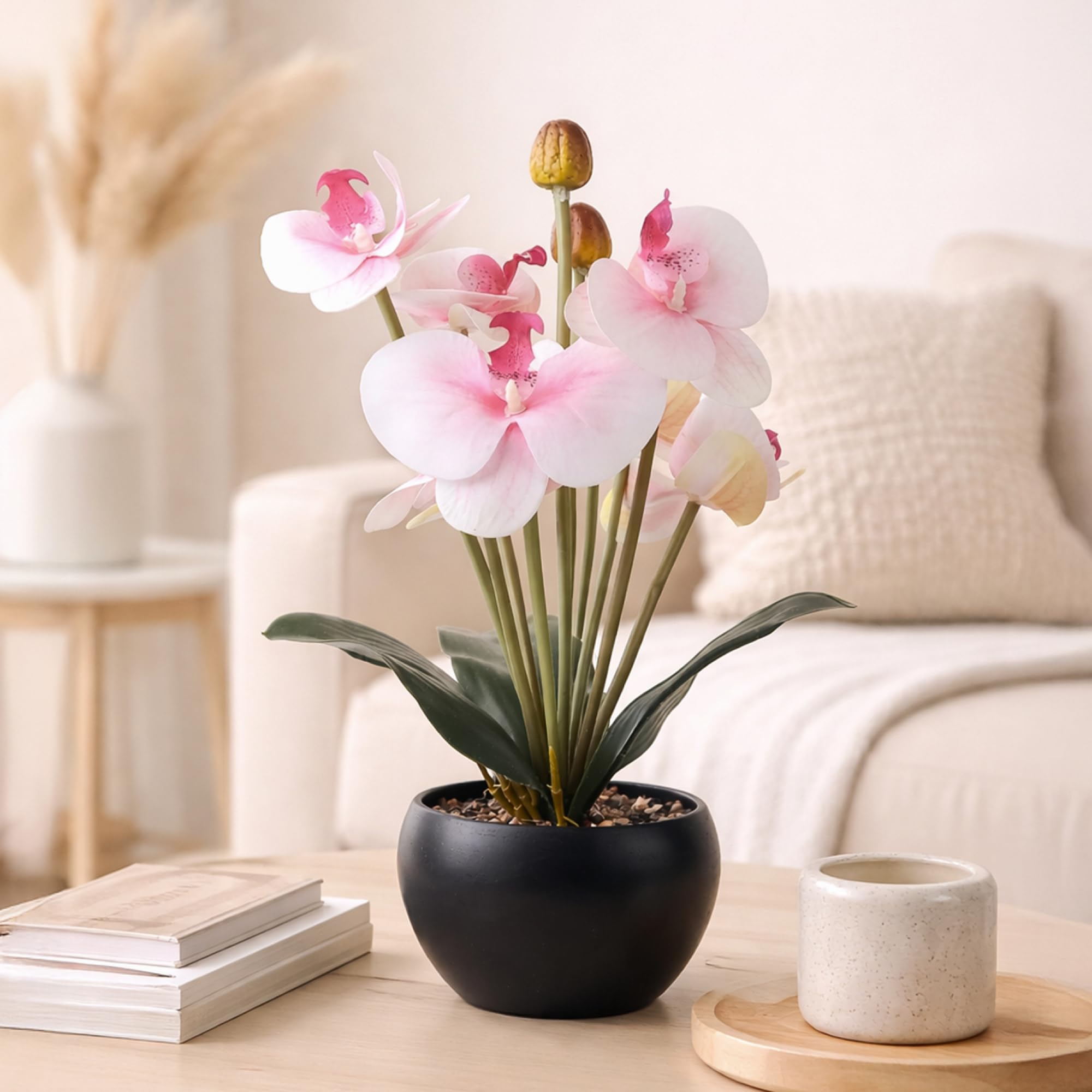 Habere India-All the Cultures Fabricating India Moth Orchid Artificial Plants with Pot for Home Decor | Small Fake Flower Plants for Living Room & Indoor Decoration (Design03: L12 x W12 x H33 cm)-picture-15