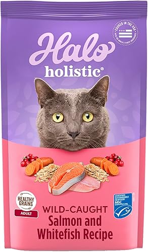 Halo Holistic - Receta de comida seca para gatos, salmón silvestre y pescado blanco, salud digestiva completa, bolsa de comida seca para gatos,