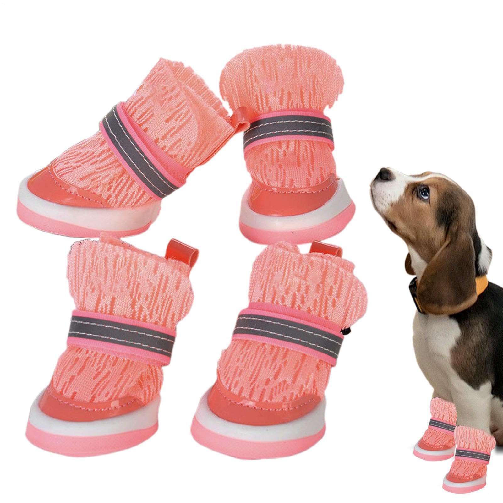 Chaussures pour chien pour éviter les blessures aux pattes du chiot