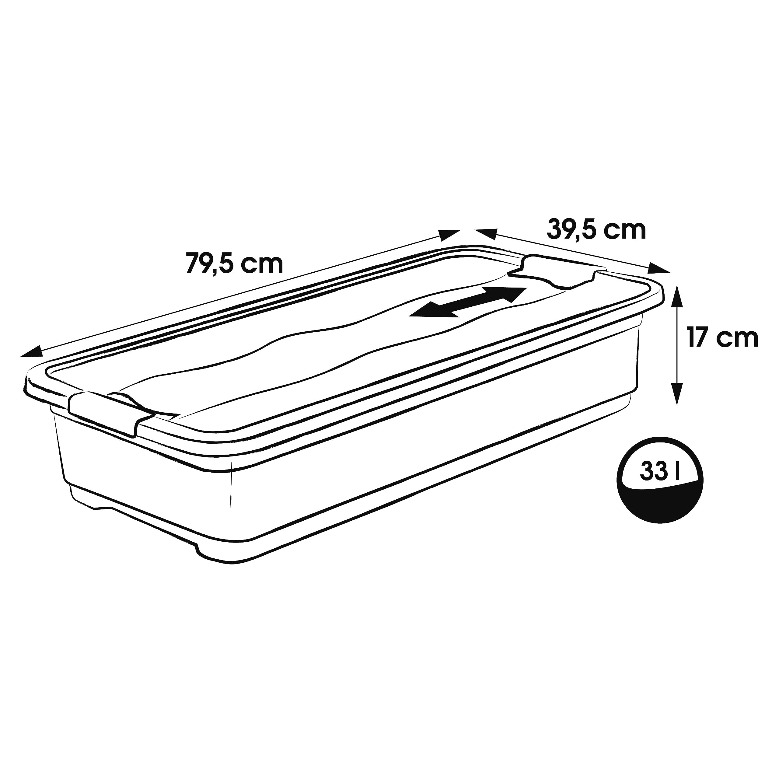 keeeper Contenitore con Coperchio, PP, 79.5 x 39.5 x 17 cm, Capacità: 33 L, Cornelia, Trasparente