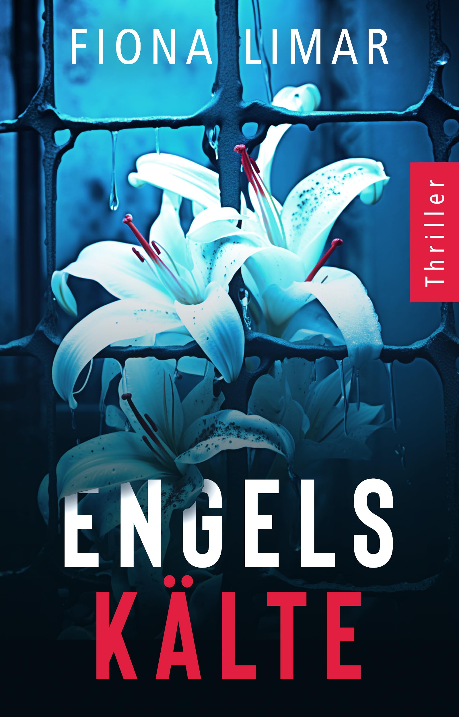 Engelskälte: Psychothriller (Psychiatrie-Thriller 2)