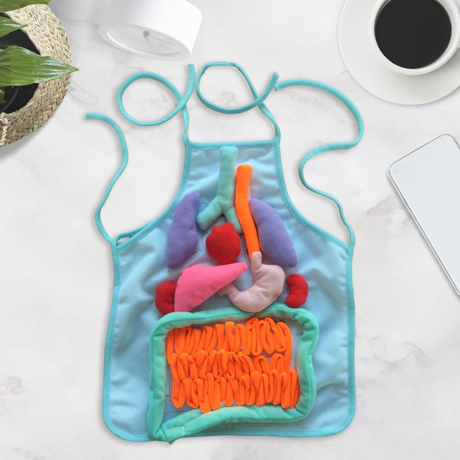 Sharplace Grembiule 3D con Organi per Bambini, Grembiule Didattico Tridimensionale del Corpo Umano, Modello di Organi Interni, per Scuola E Asilo Nido, Blu