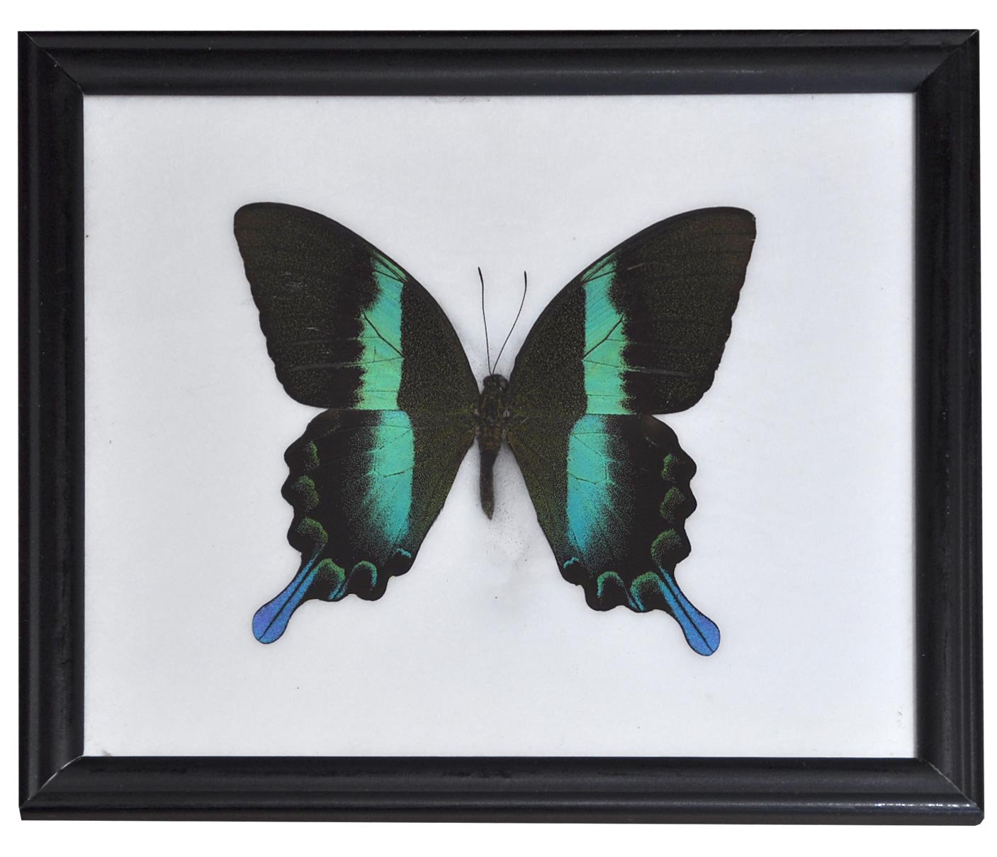 Bir yigit porno tomosha qilayotganda qolini silkitadi.