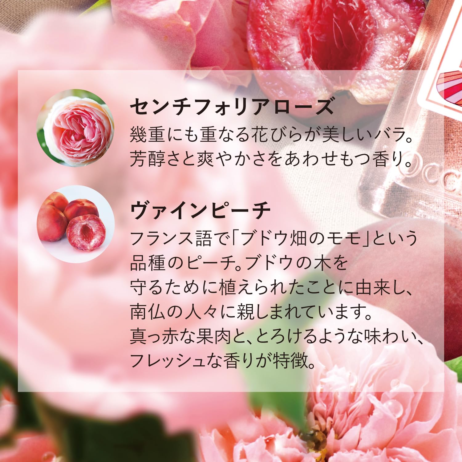 Amazon.co.jp: ロクシタン(L'OCCITANE)ローズヴァインピーチ