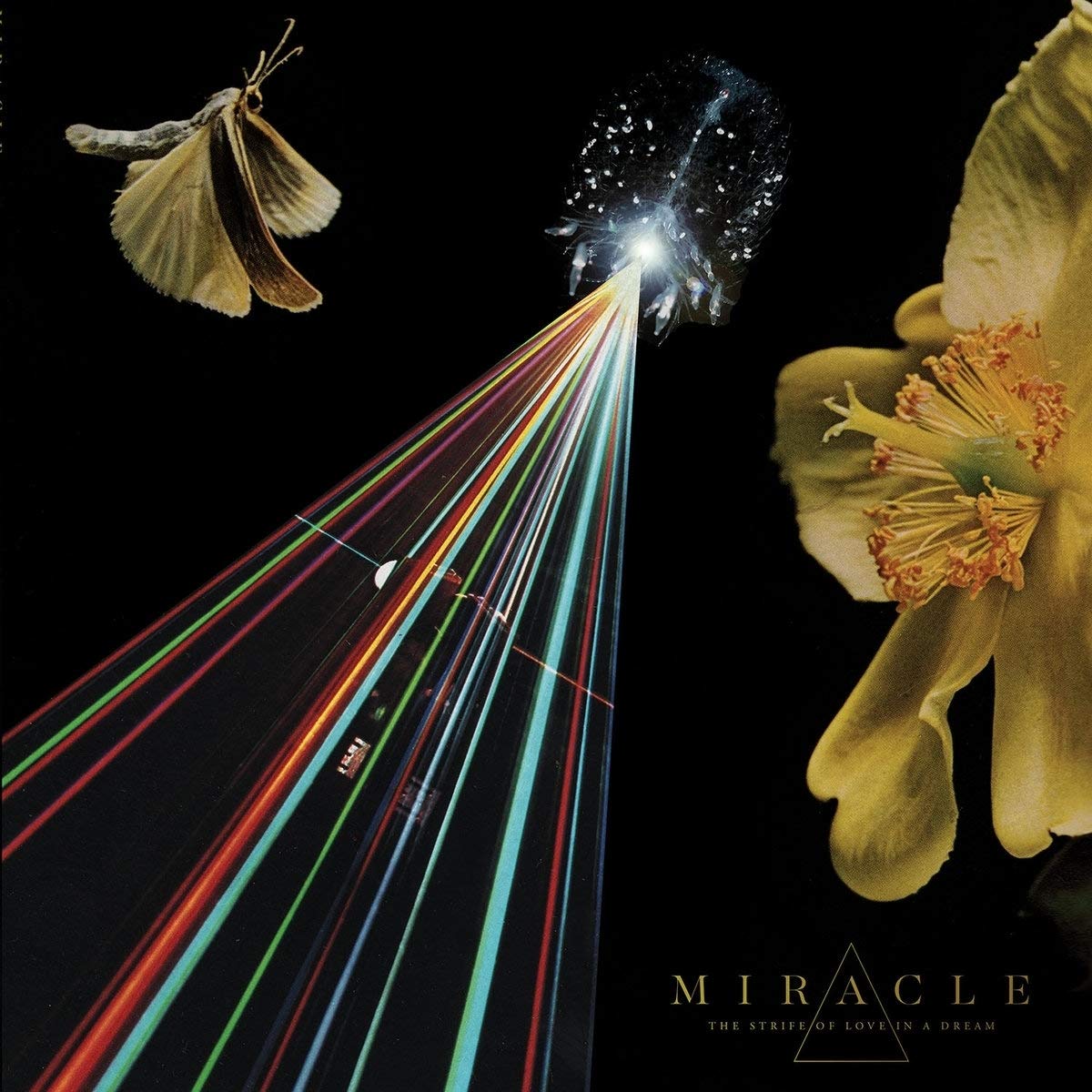 The Strife of Love in a Dream (Black Vinyl) [VINYL]
