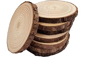 Unfinished Natural Wood Slices Thin Cut 5.5-6 inches Wide | 8 Pcs...