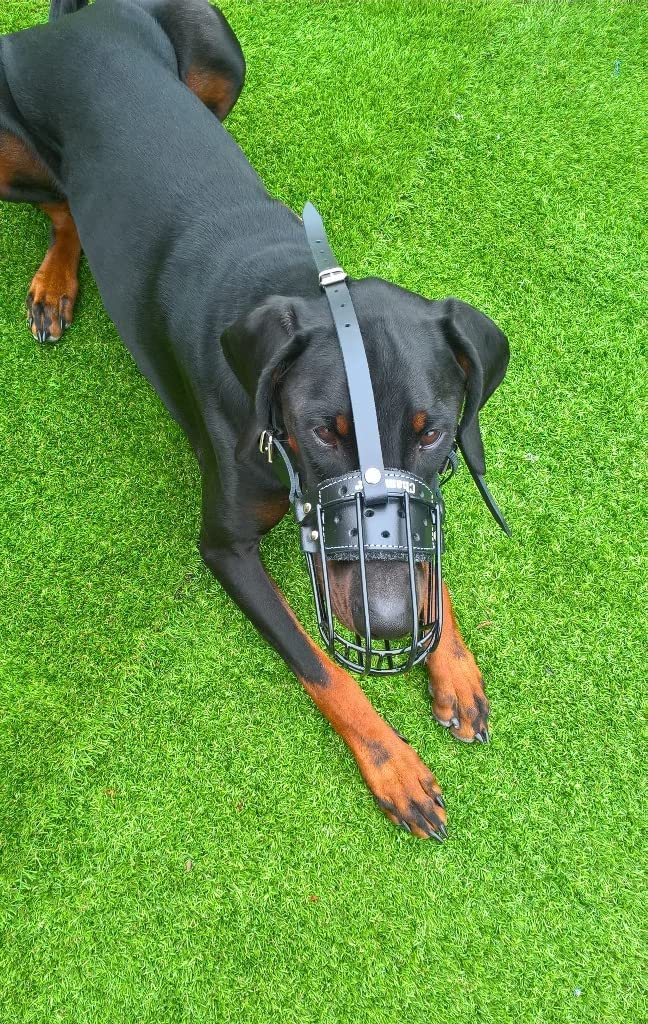 L&J Pets Uk Metall Maulkorb für Deutsche Schäferhunde & ähnliche große Hunde – Sicher, Bequem & Verstellbar (Silber/Braun, T1)