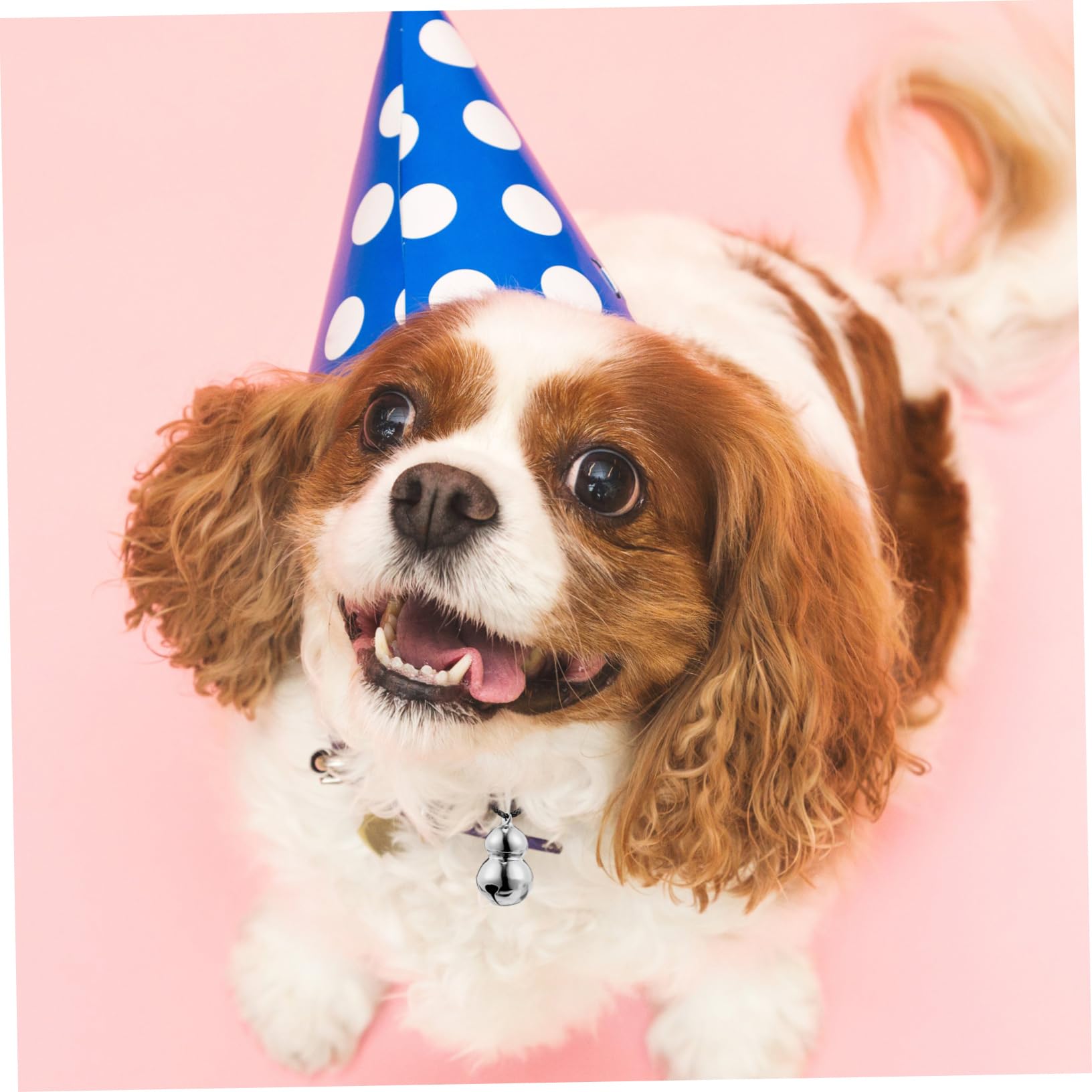 Abaodam 5Pcs Gourd Bells for Pets and Decorations Lightweight for Christmas Dog Collars Keychains More Crisp Sound for Festive Atmosphere